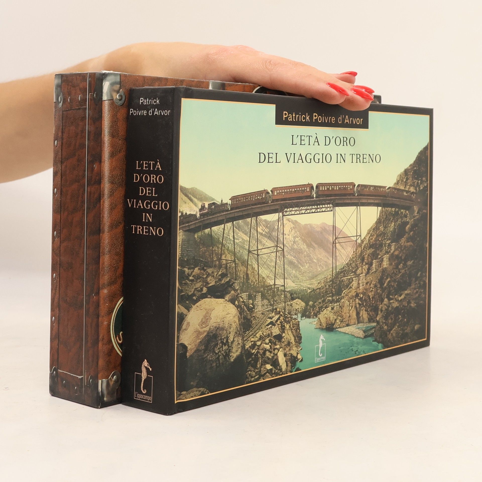 Patrick Poivre d'Arvor L'età d'oro del viaggio in treno
