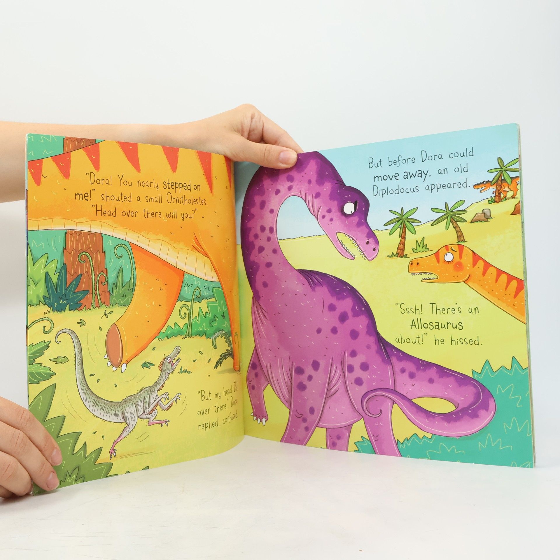 Fran Bromage Dinosaur Adventures: Diplodocus