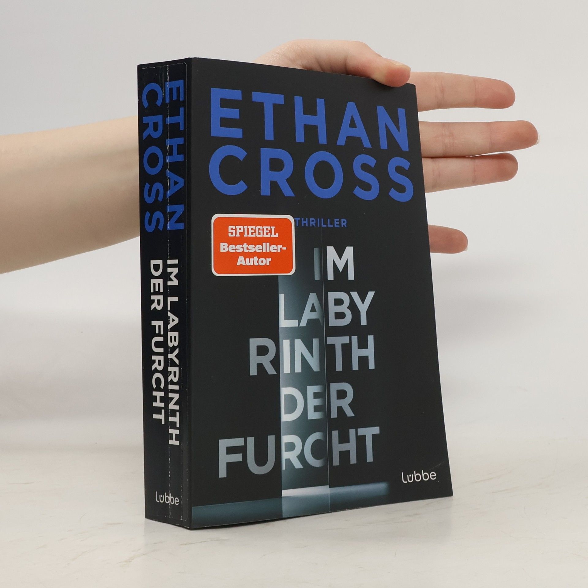 Ethan Cross Im Labyrinth der Furcht
