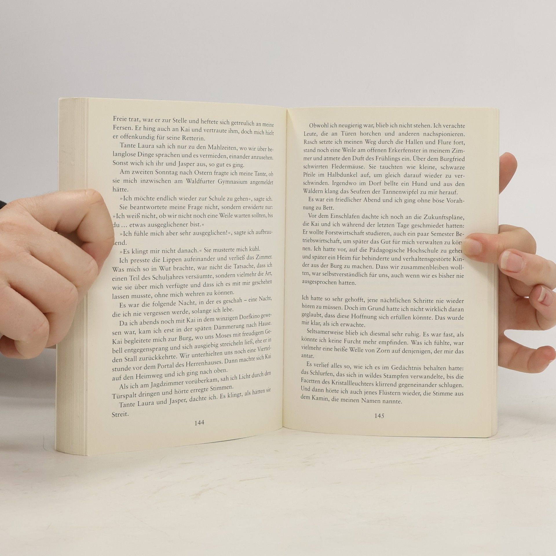 Ursula Isbel Stimmen aus dem Kamin. Das Schloss im Nebel