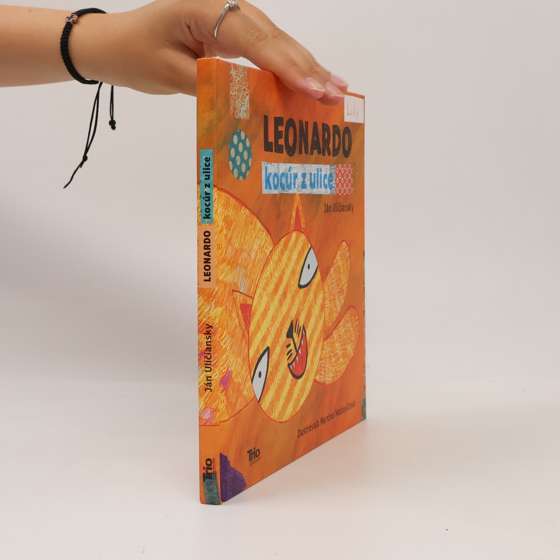 Ján Uličiansky Leonardo, kocúr z ulice