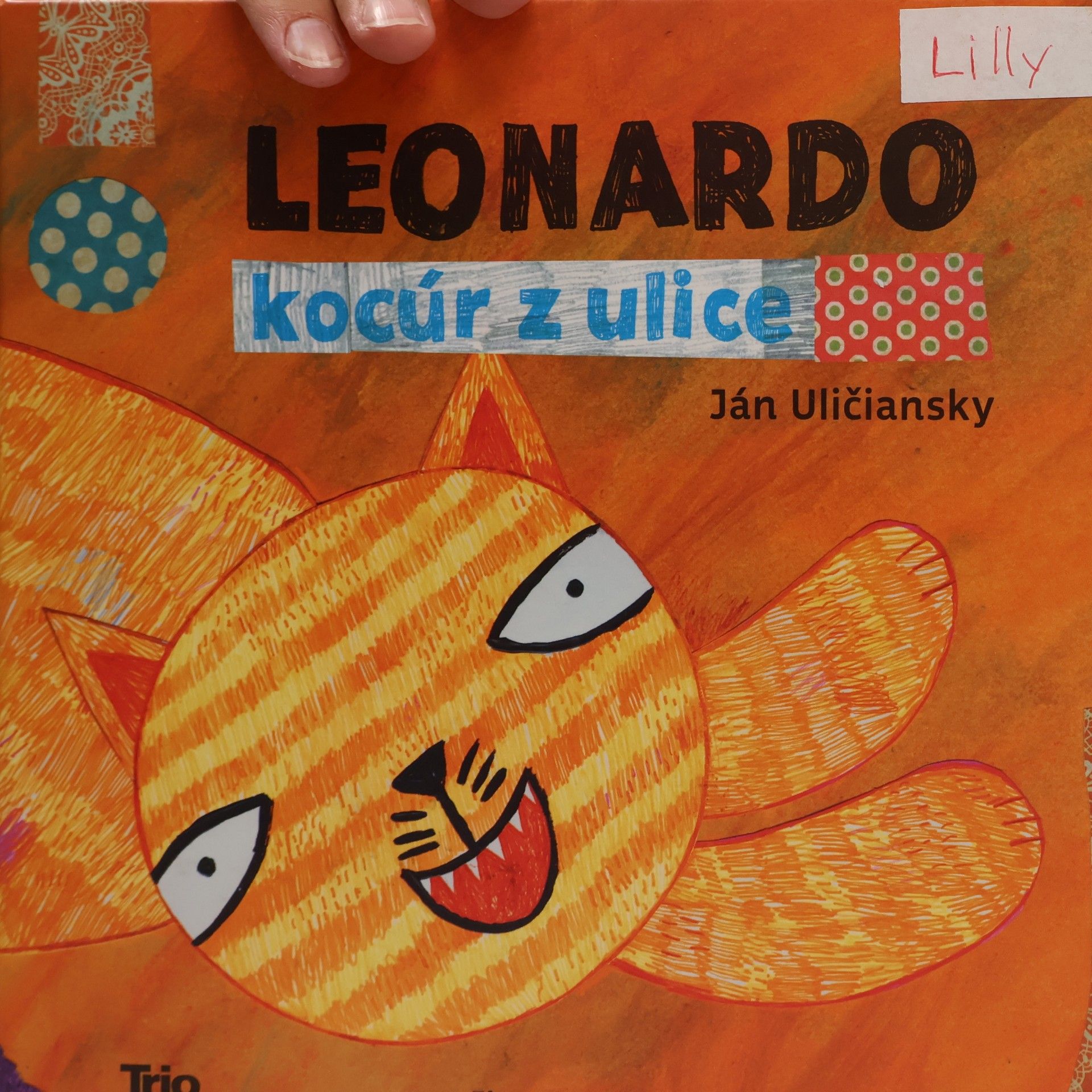 Ján Uličiansky Leonardo, kocúr z ulice