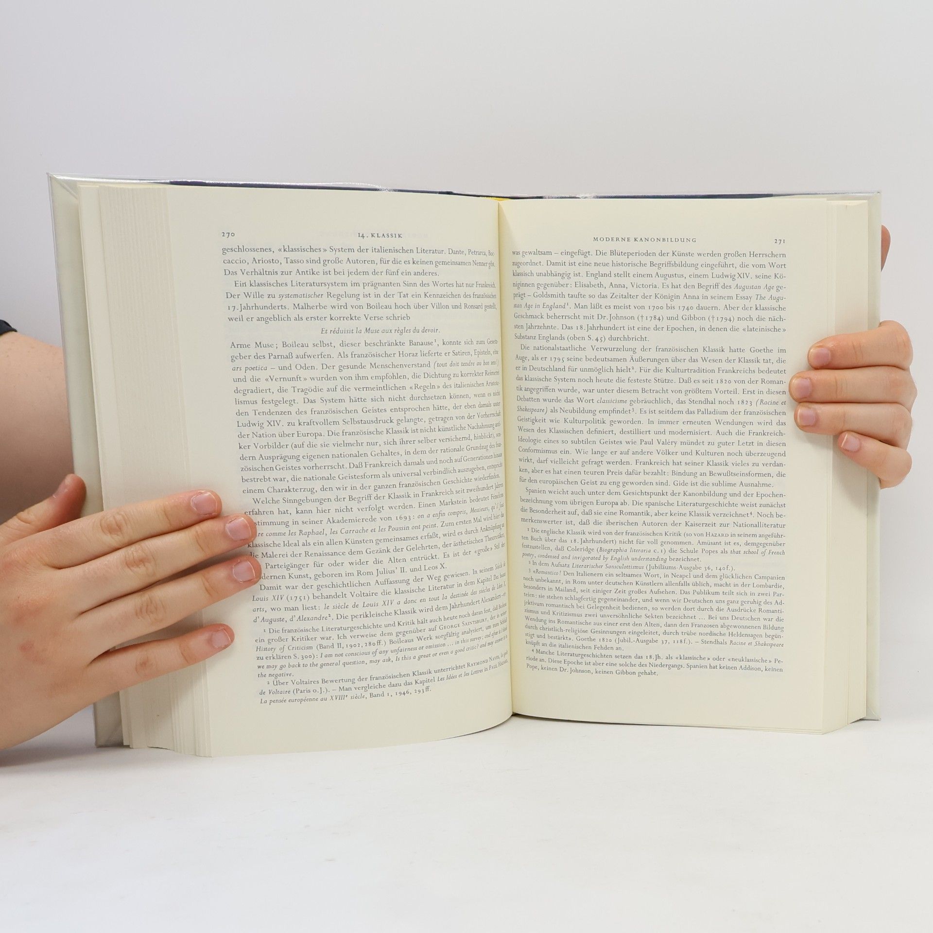 Ernst Robert Curtius Europäische Literatur und lateinisches Mittelalter