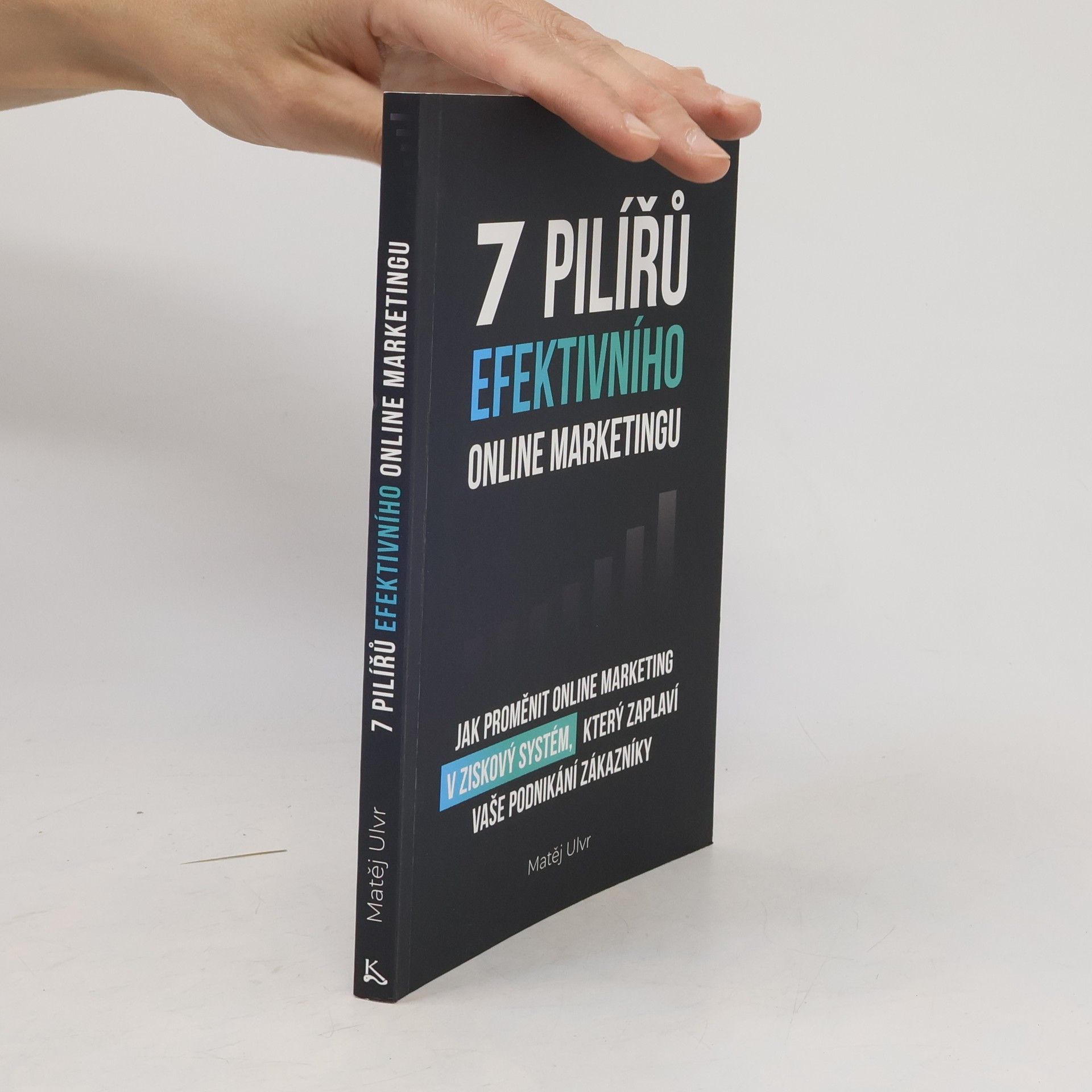 Matěj Ulvr 7 pilířů efektivního online marketingu