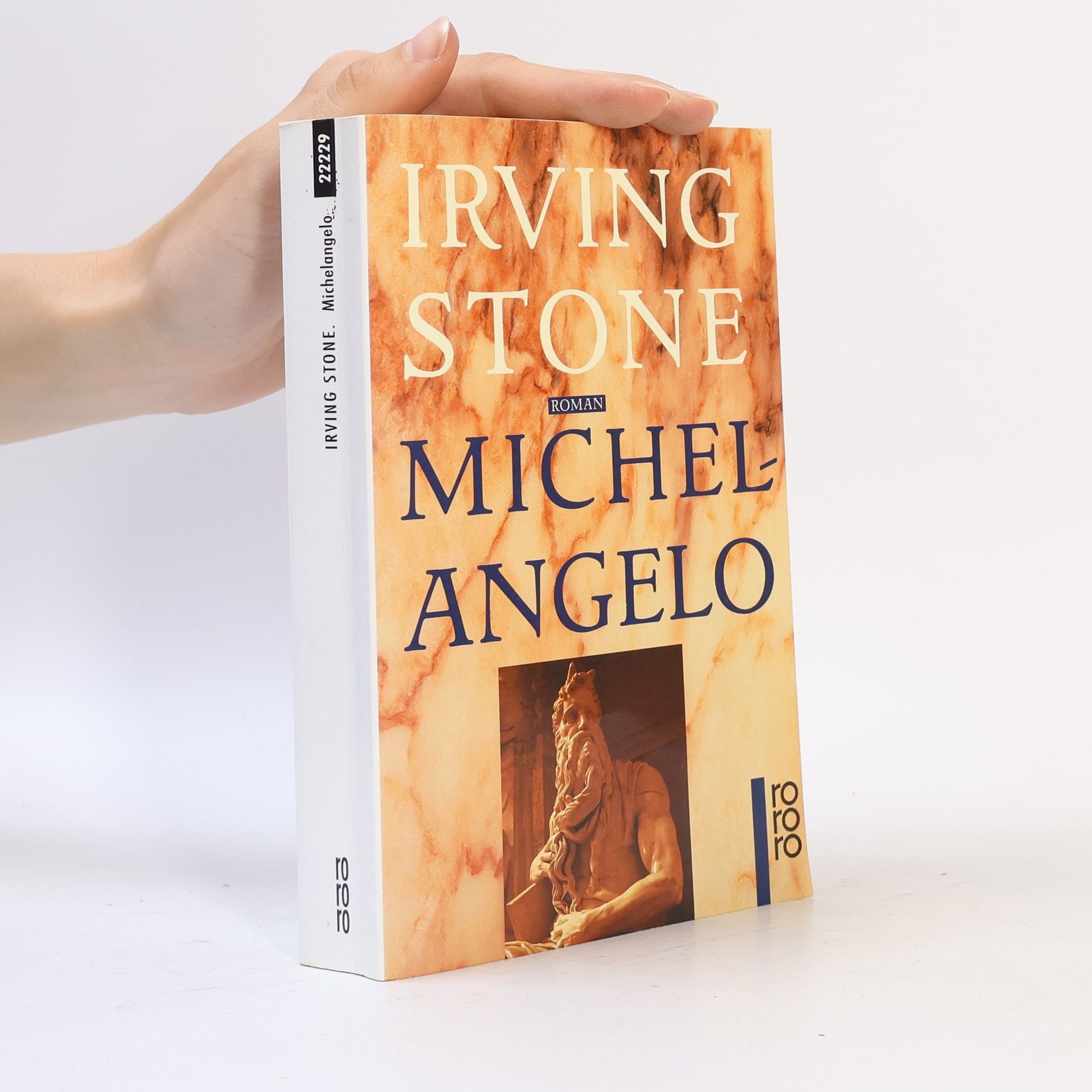 Irving Stone Michelangelo