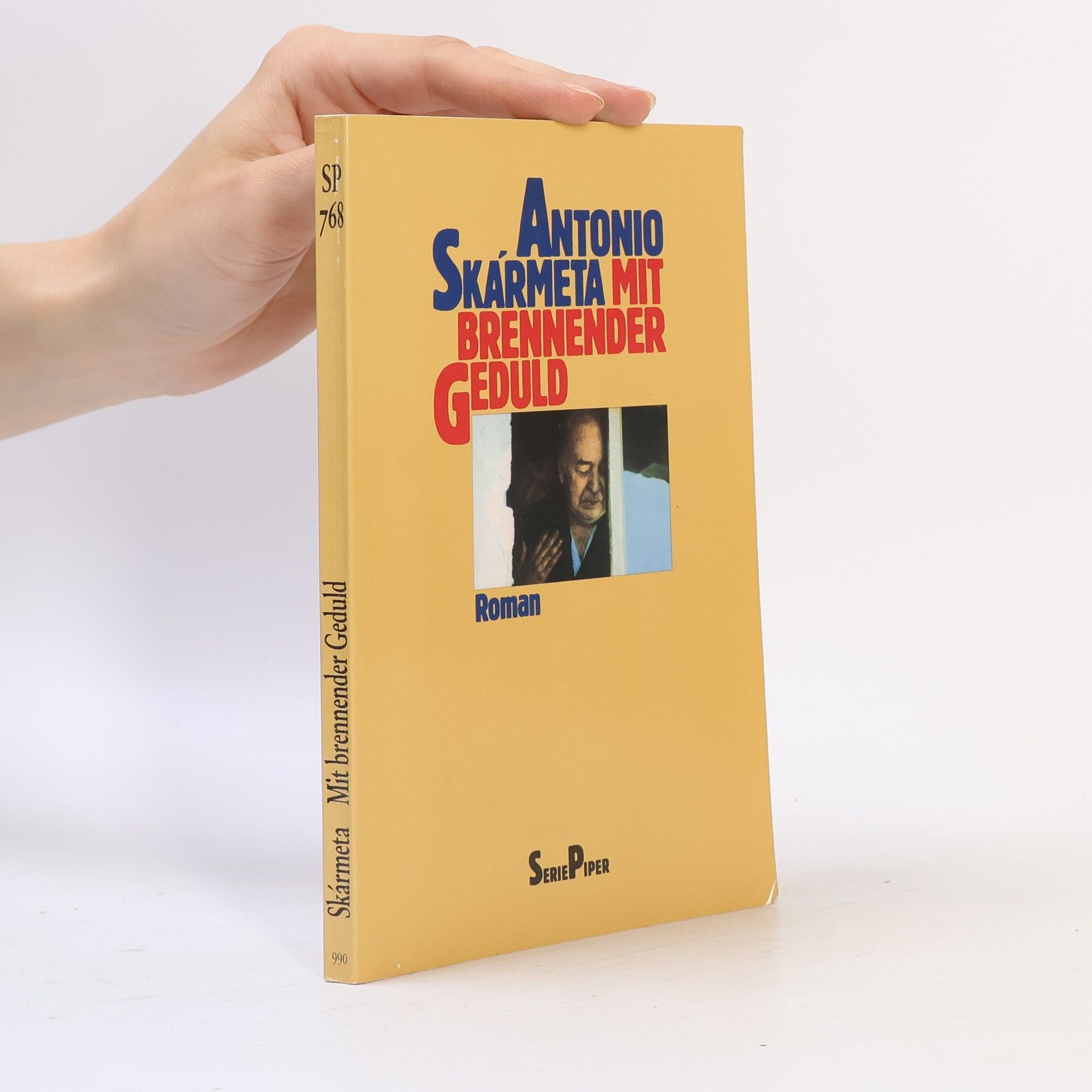 Antonio Skármeta Mit brennender Geduld