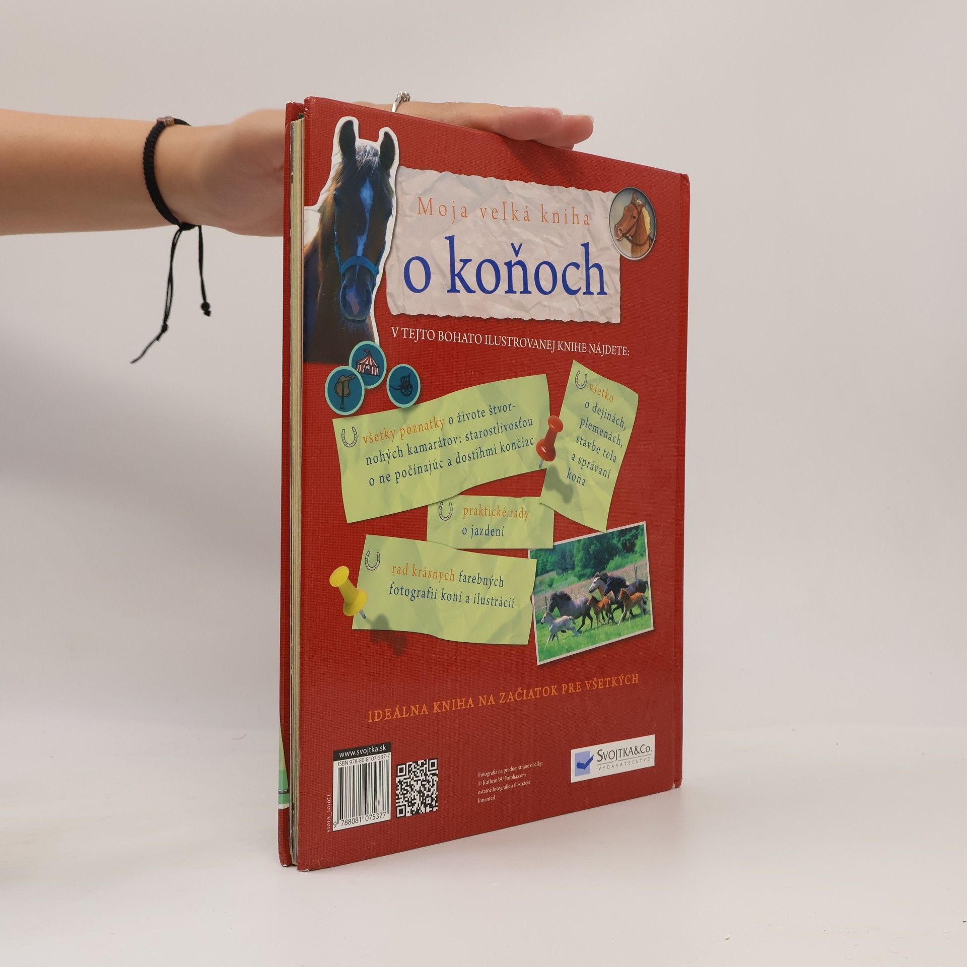 Giada Riondino Moja veľká kniha o koňoch