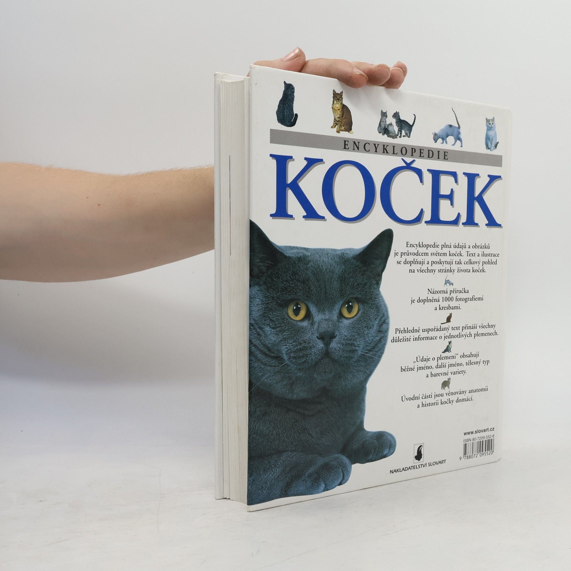 Michael Pollard Encyklopedie koček