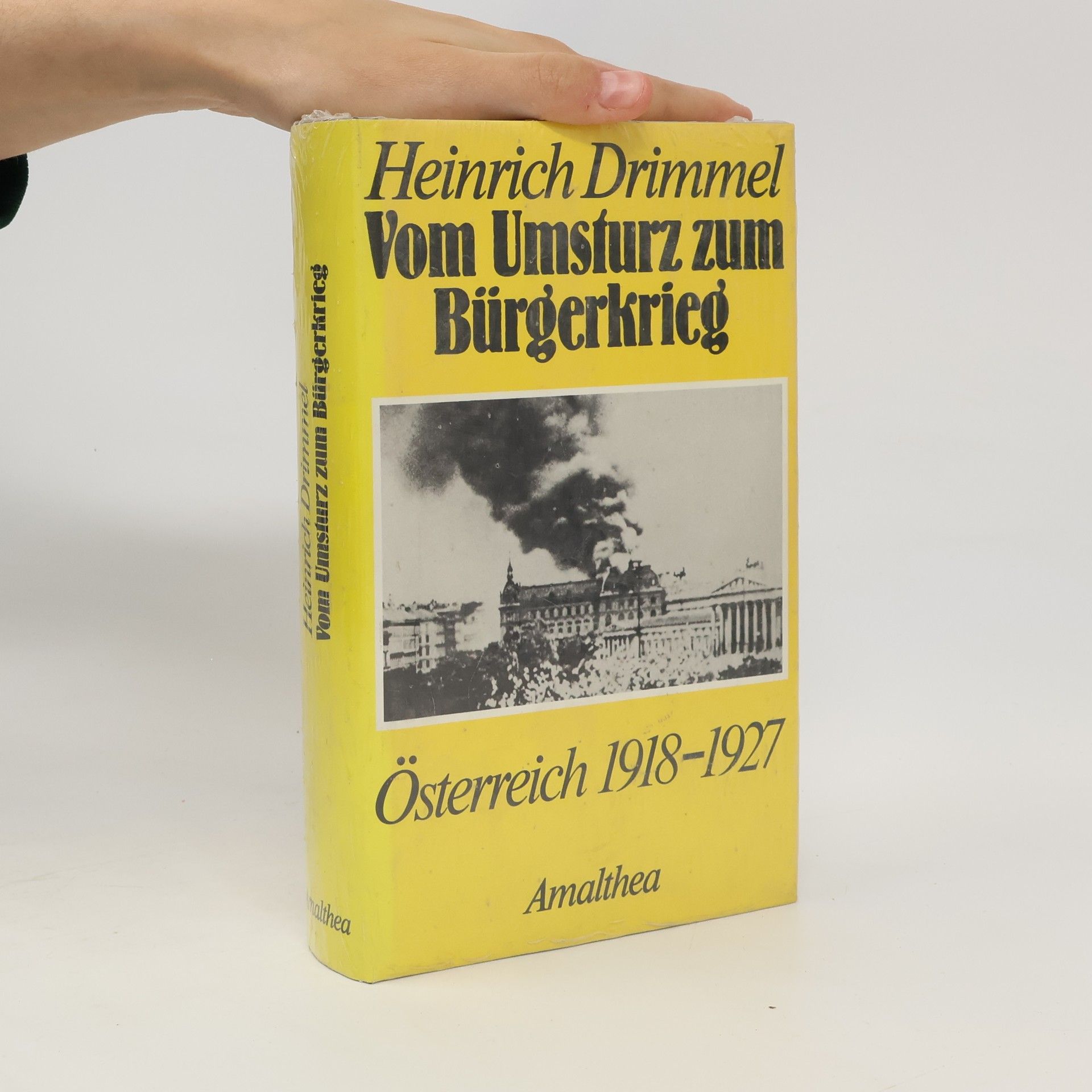 Heinrich Drimmel Vom Umsturz zum Bürgerkrieg
