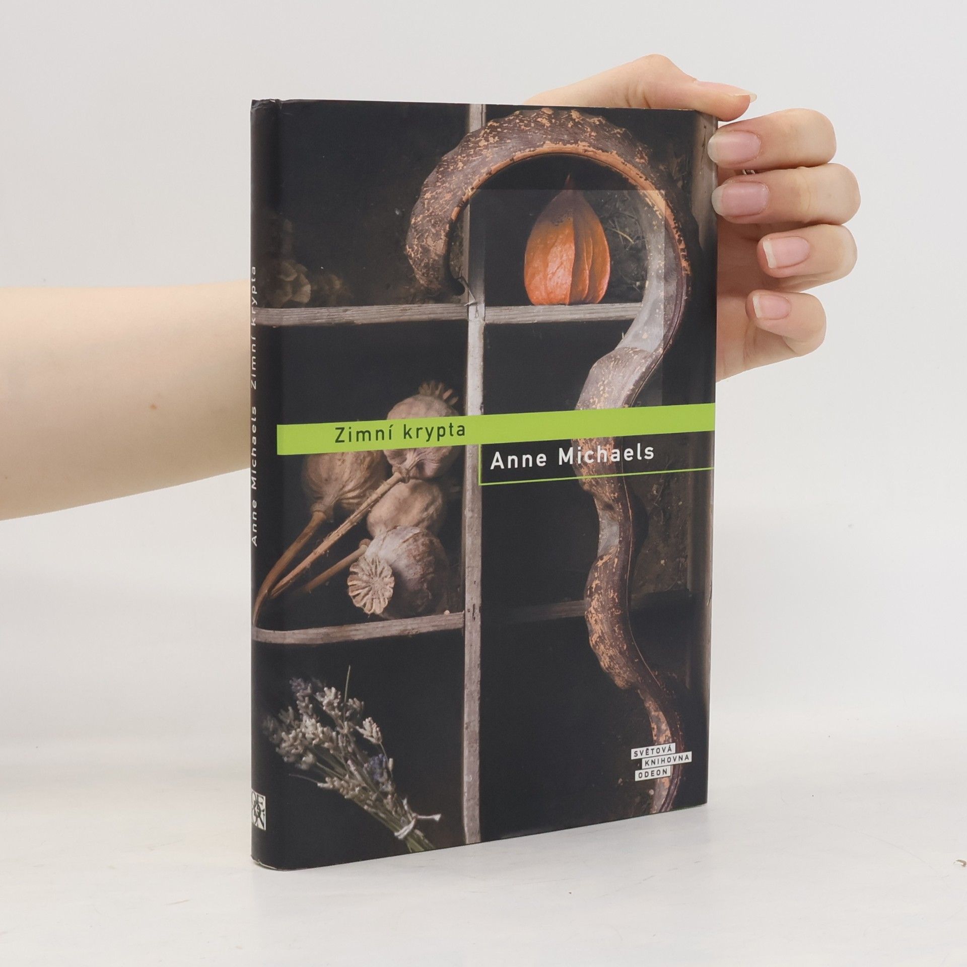 Anne Michaels Zimní krypta
