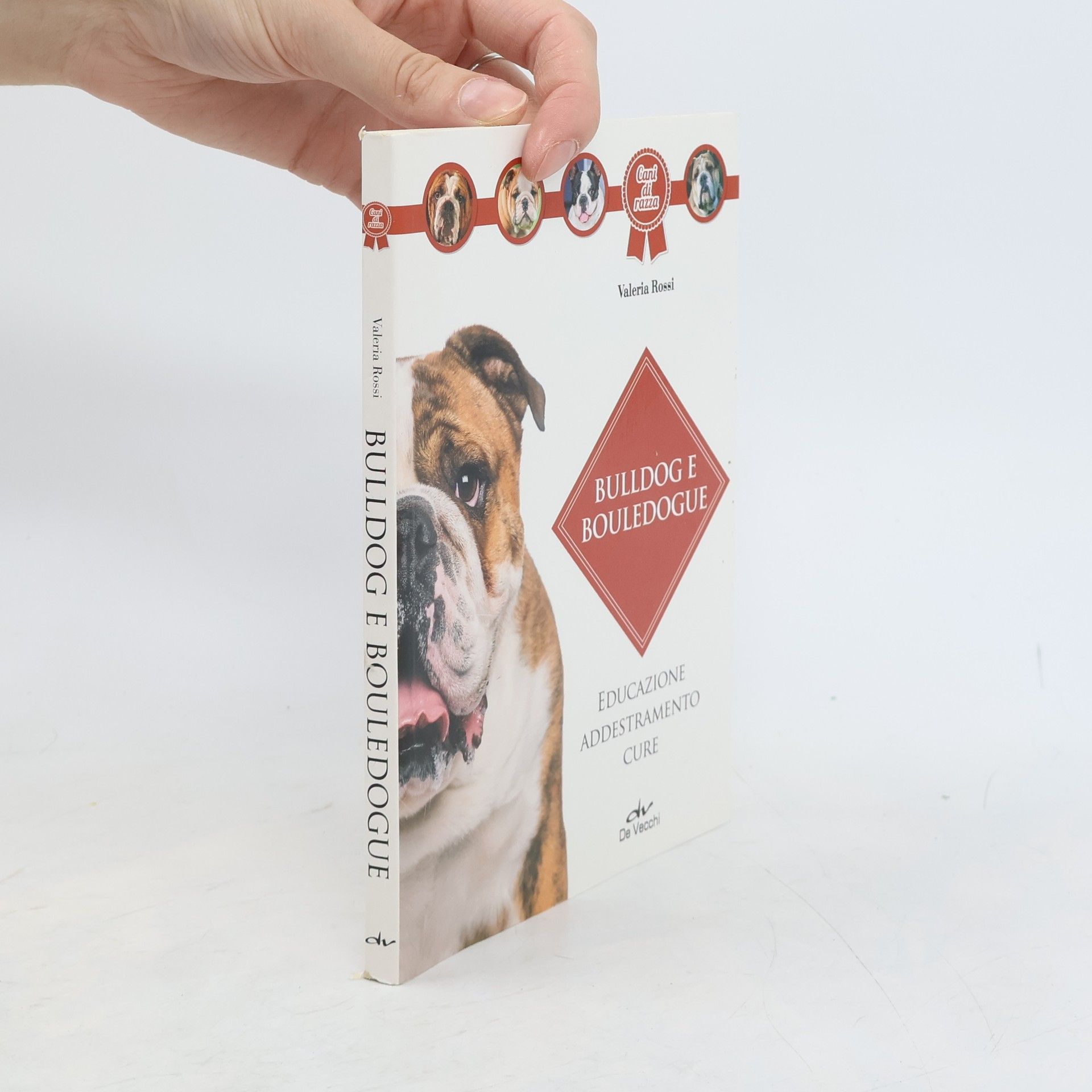 Cani di razza: Bulldog e bouledogue