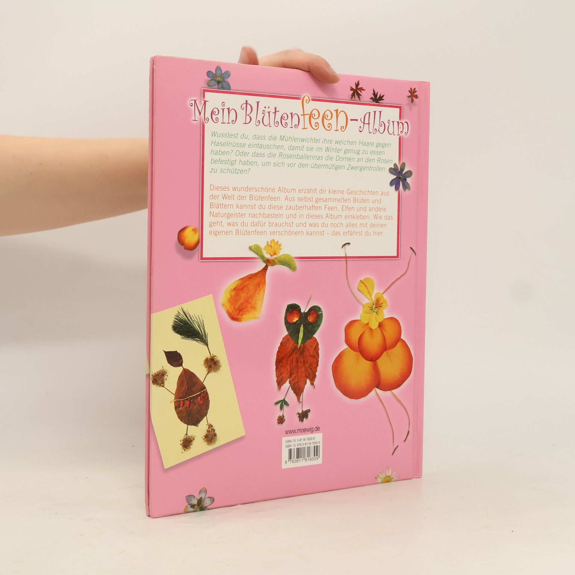 Karin Niedermeier Mein Blütenfeen Album