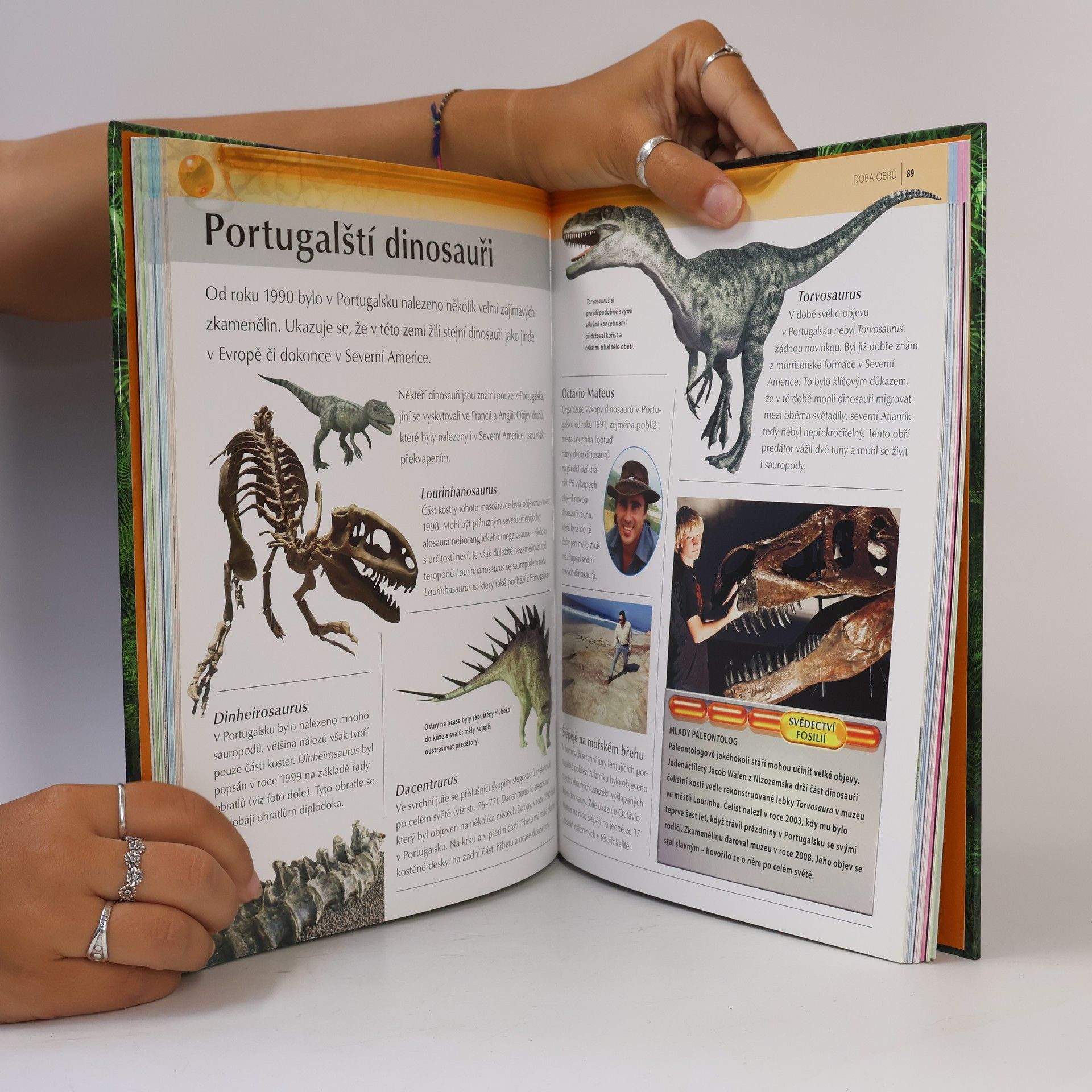 Michael J. Benton Poznávej věci kolem sebe. Dinosauři