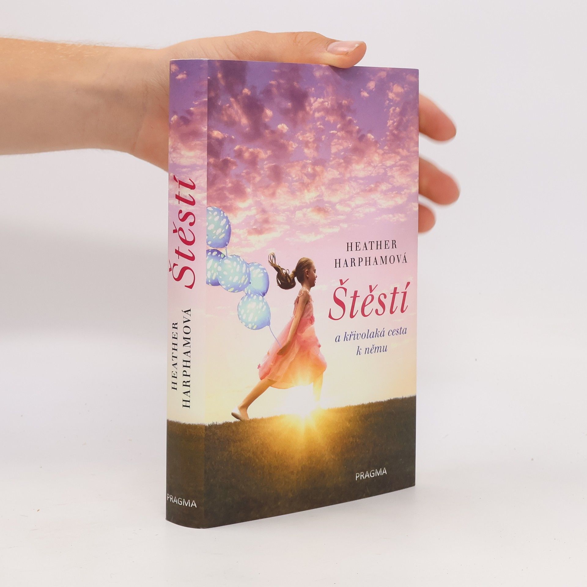 Štěstí : a křivolaká cesta k němu