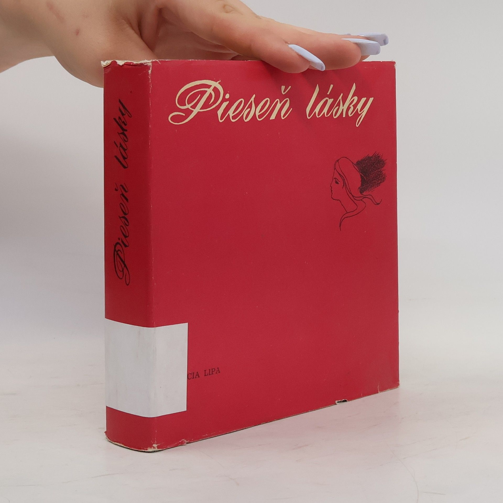 Autorenkollektiv Pieseň lásky