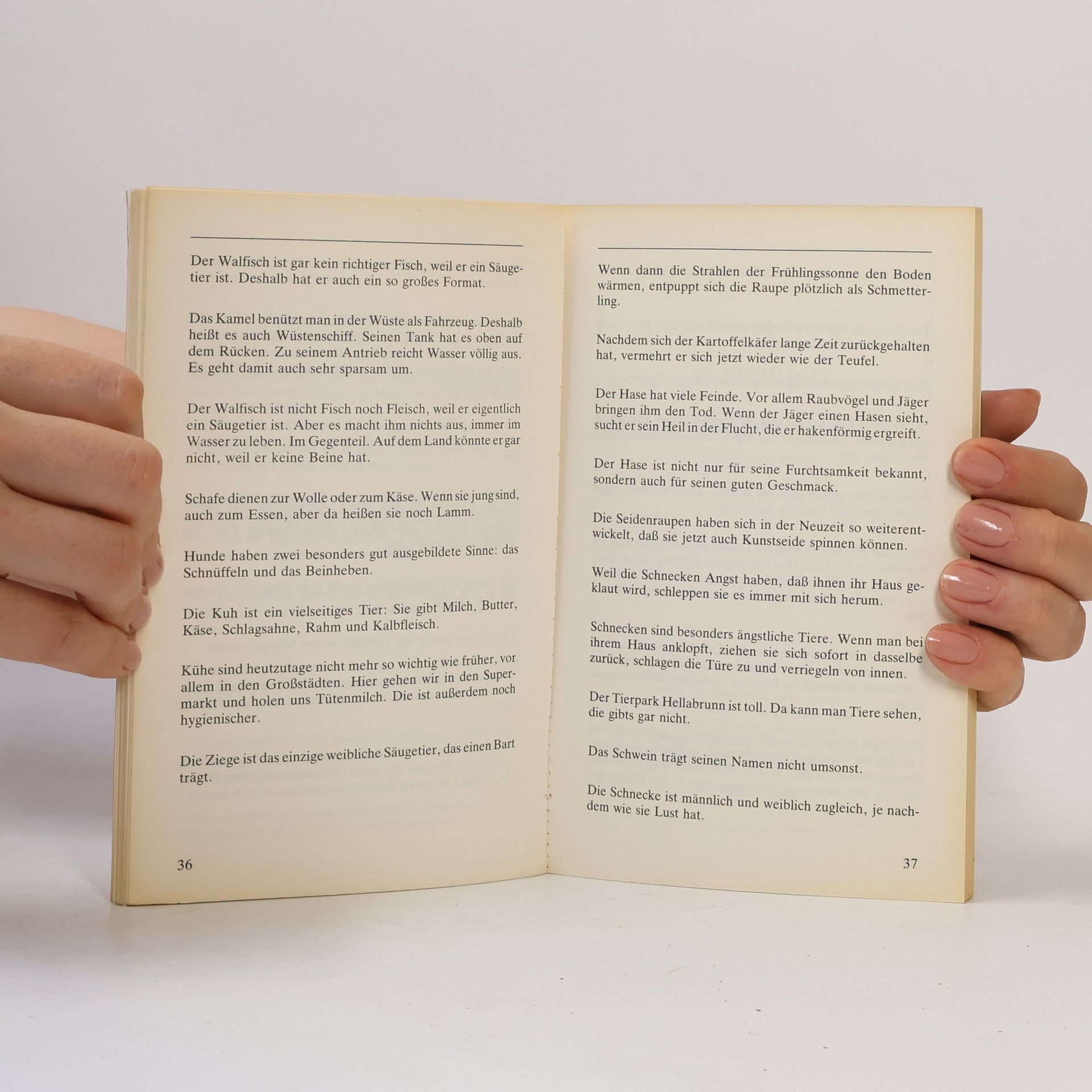 Autorenkollektiv Stilblüten aus deutschen Klassenzimmern