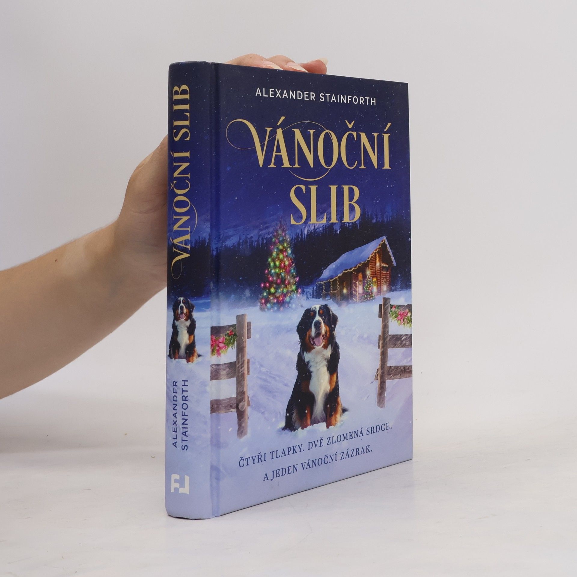 Vánoční slib