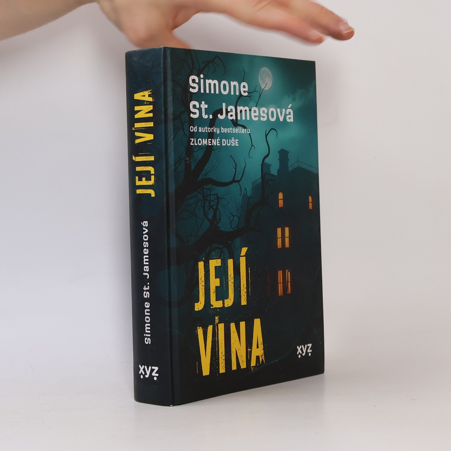 Simone St. James Její vina