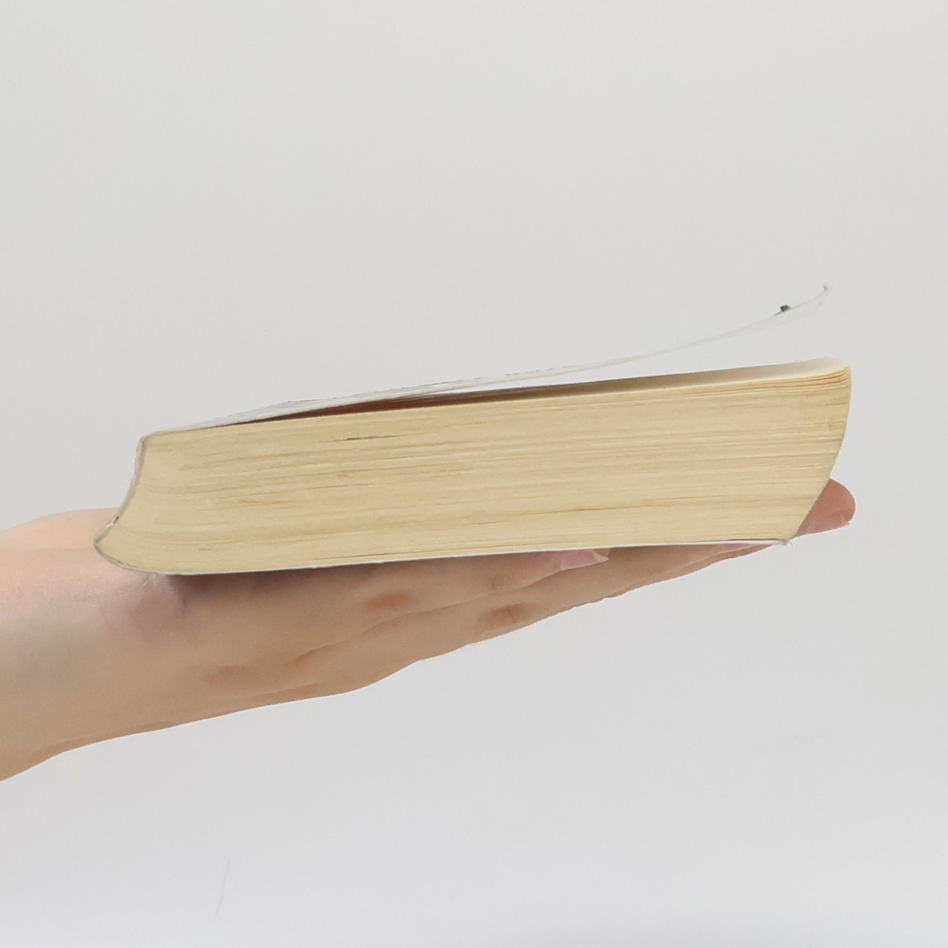 Poul Anderson Zlatý roh