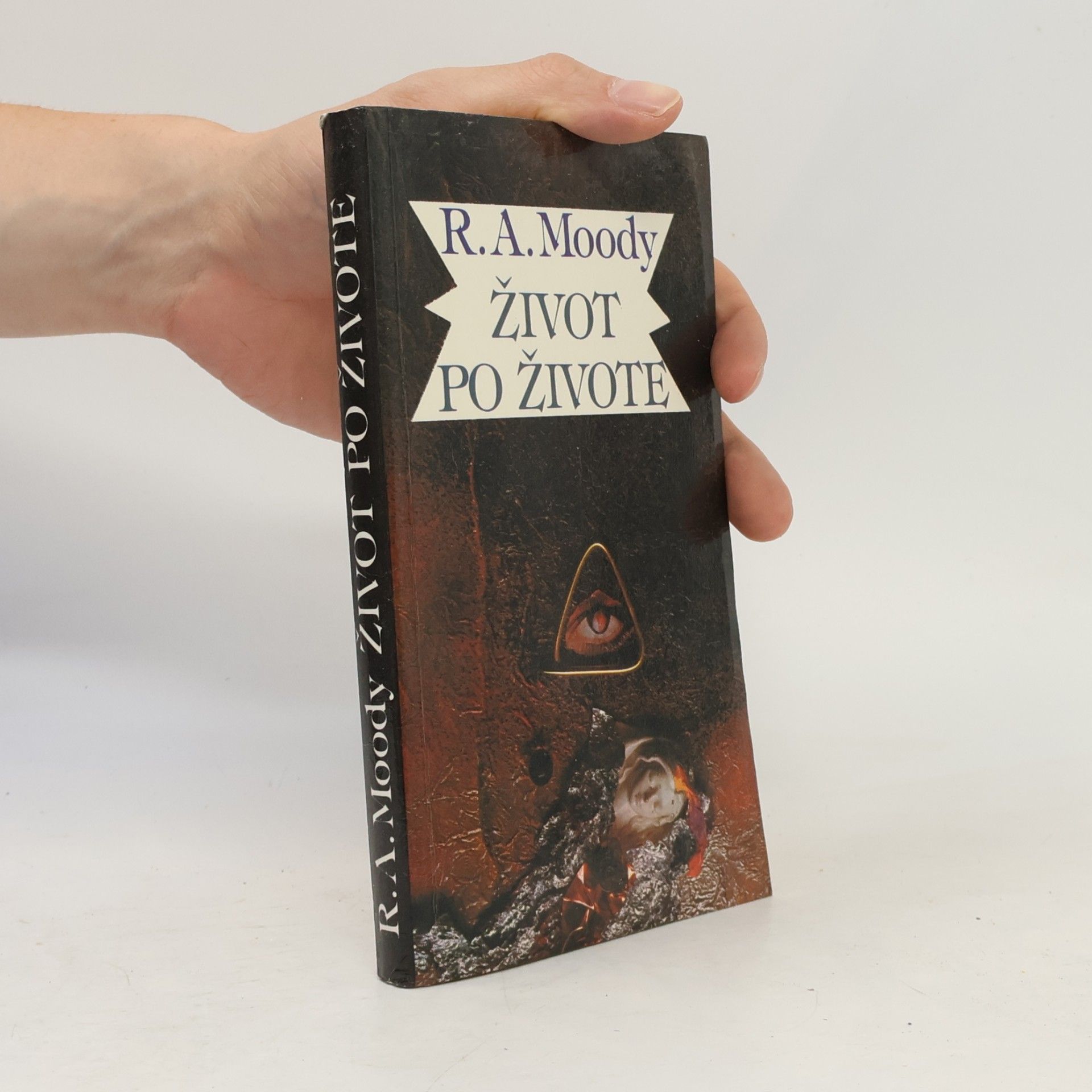 Raymond Moody Život po živote