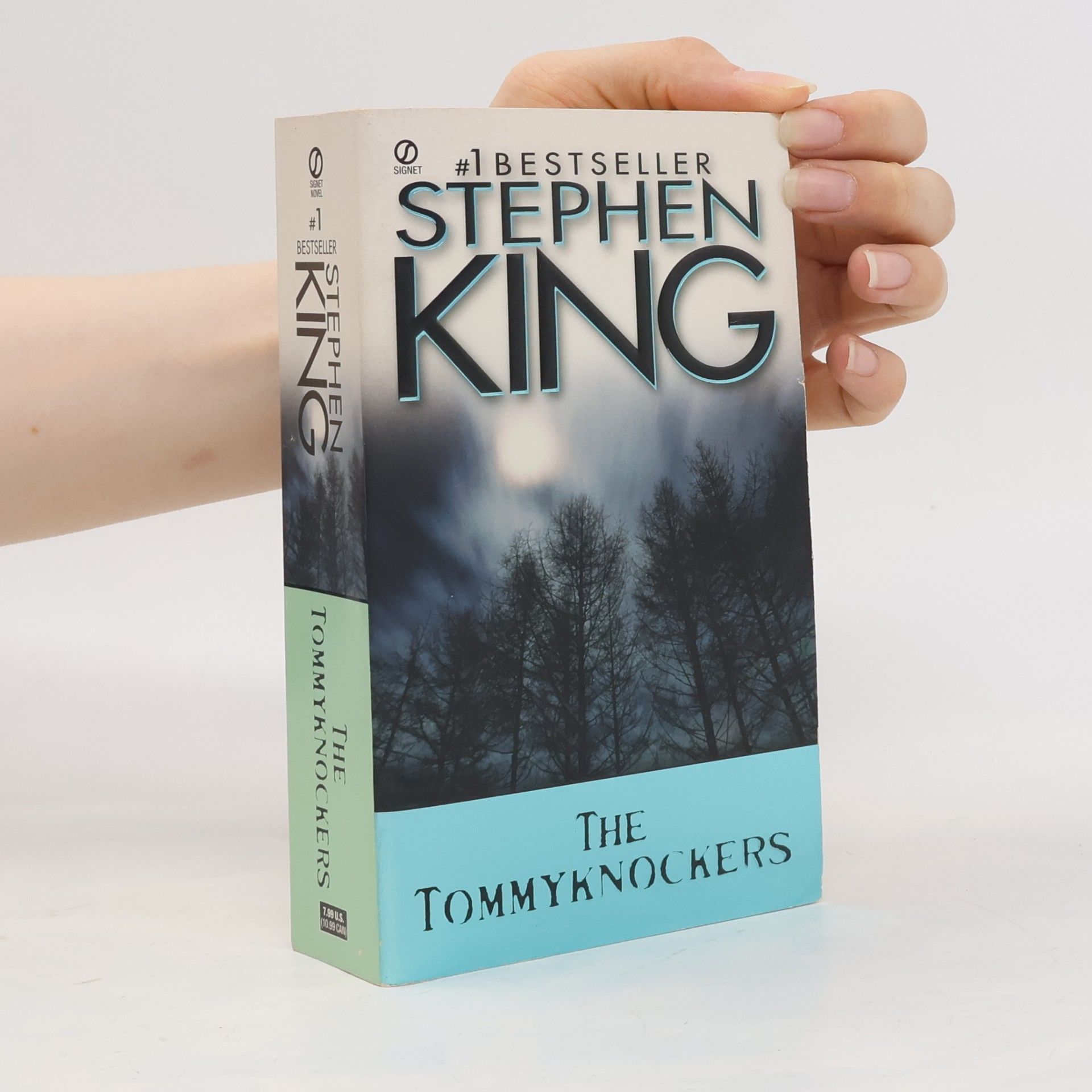 Stephen King The Tommyknockers
