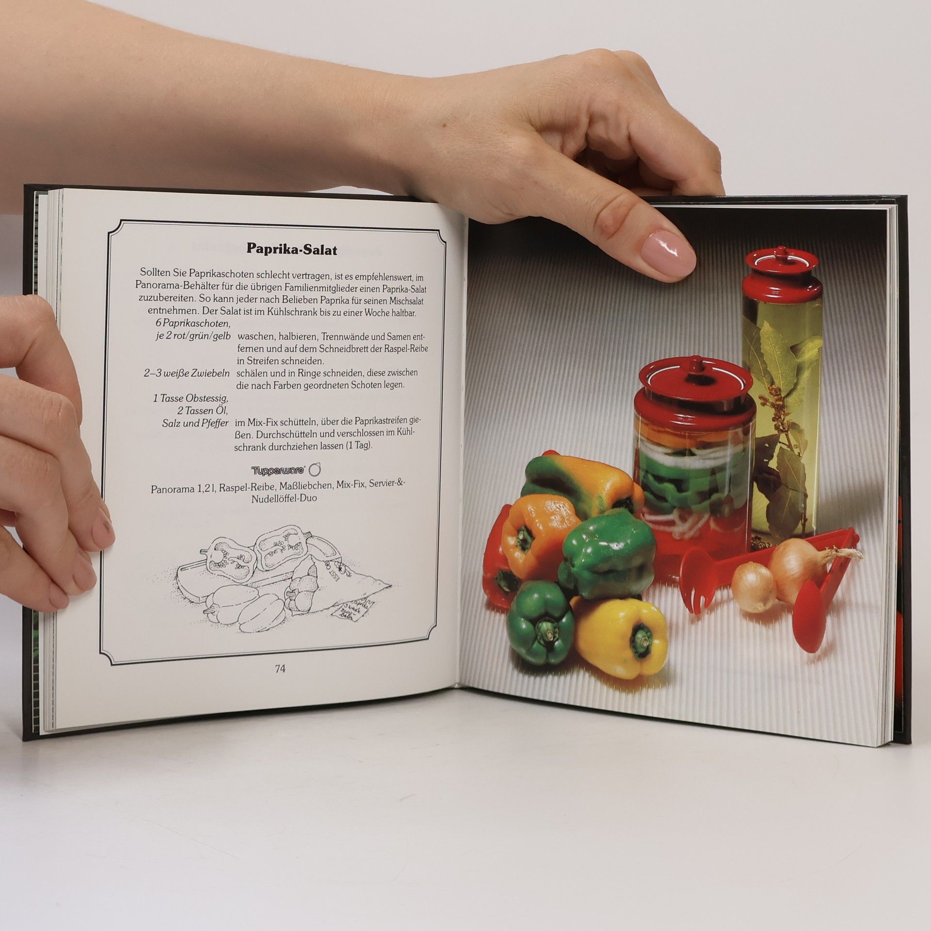 Autorenkollektiv Feines Tupperware Salat-Buffet