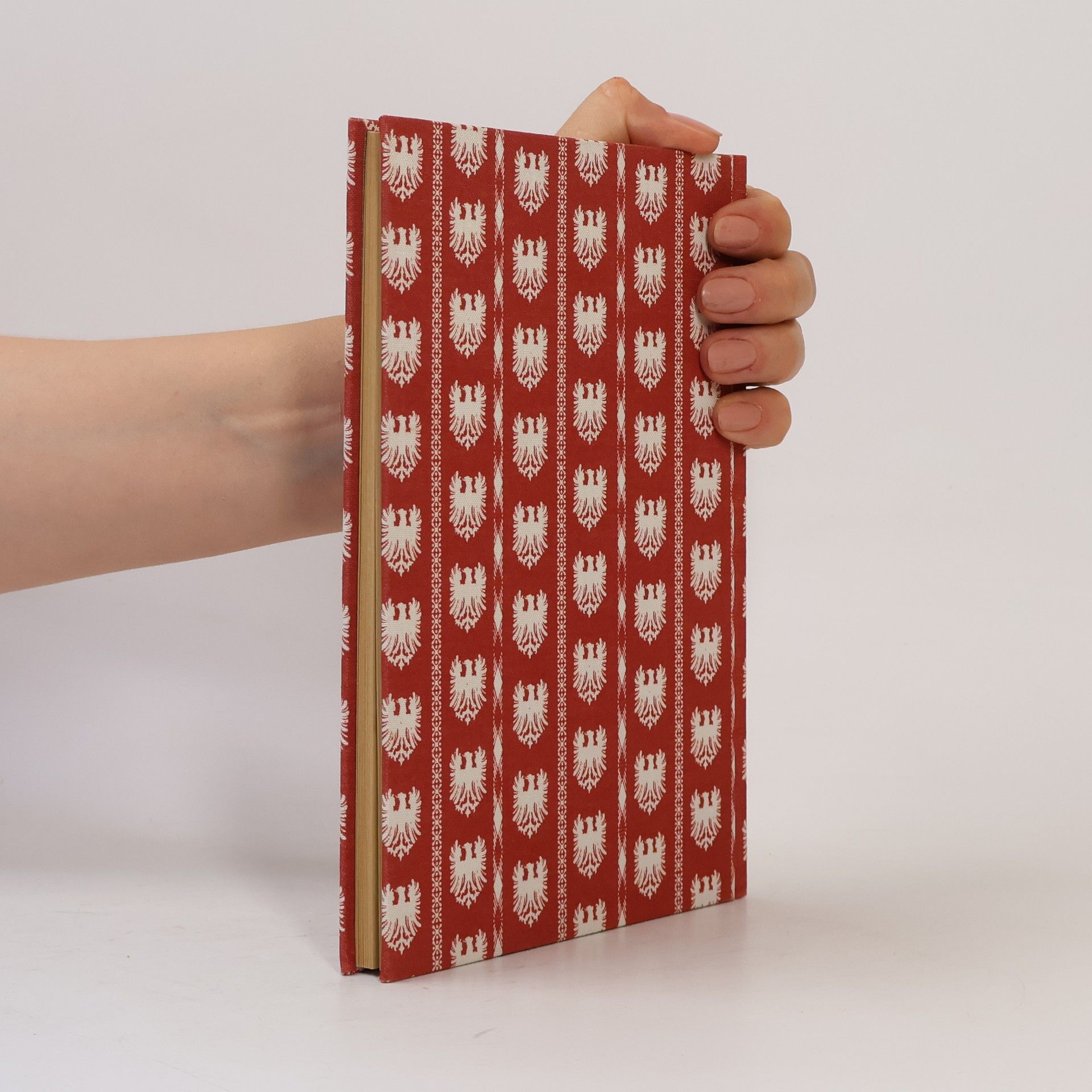 Gisela Allkemper Das Kochbuch aus Aachen