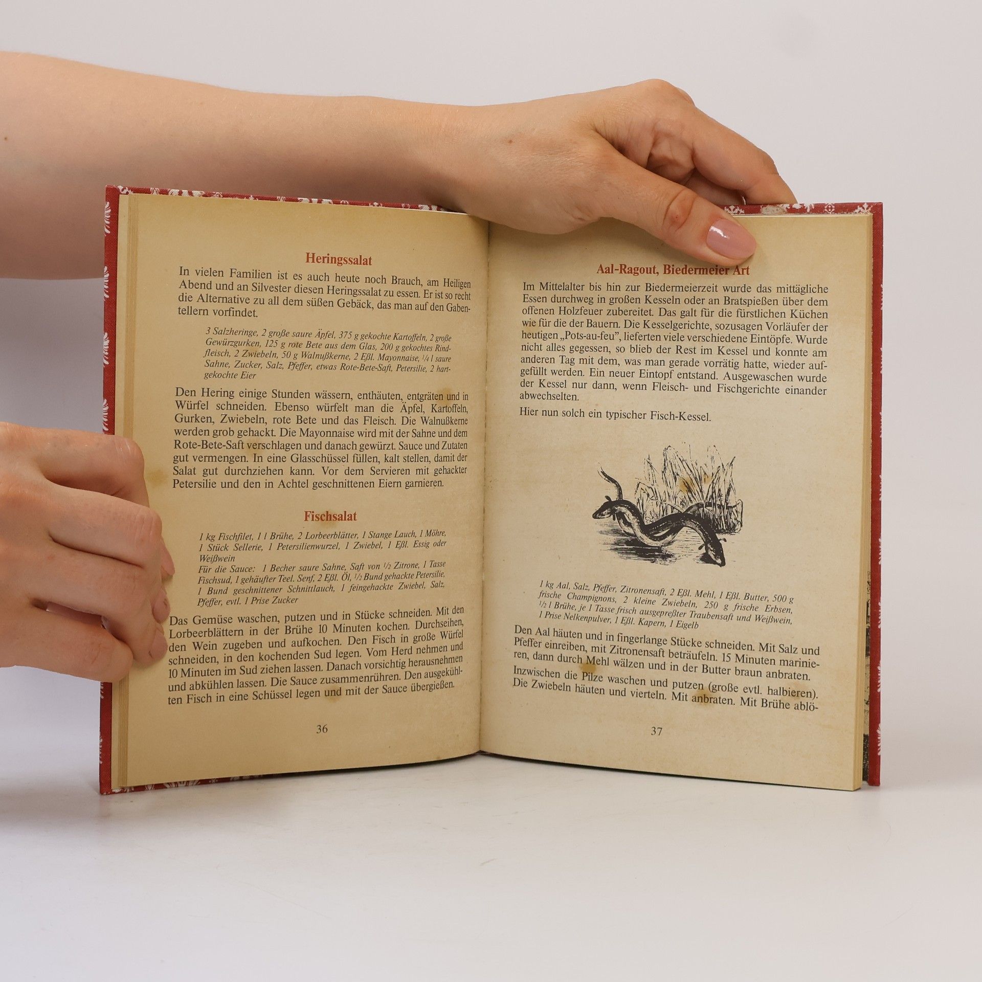 Gisela Allkemper Das Kochbuch aus Aachen