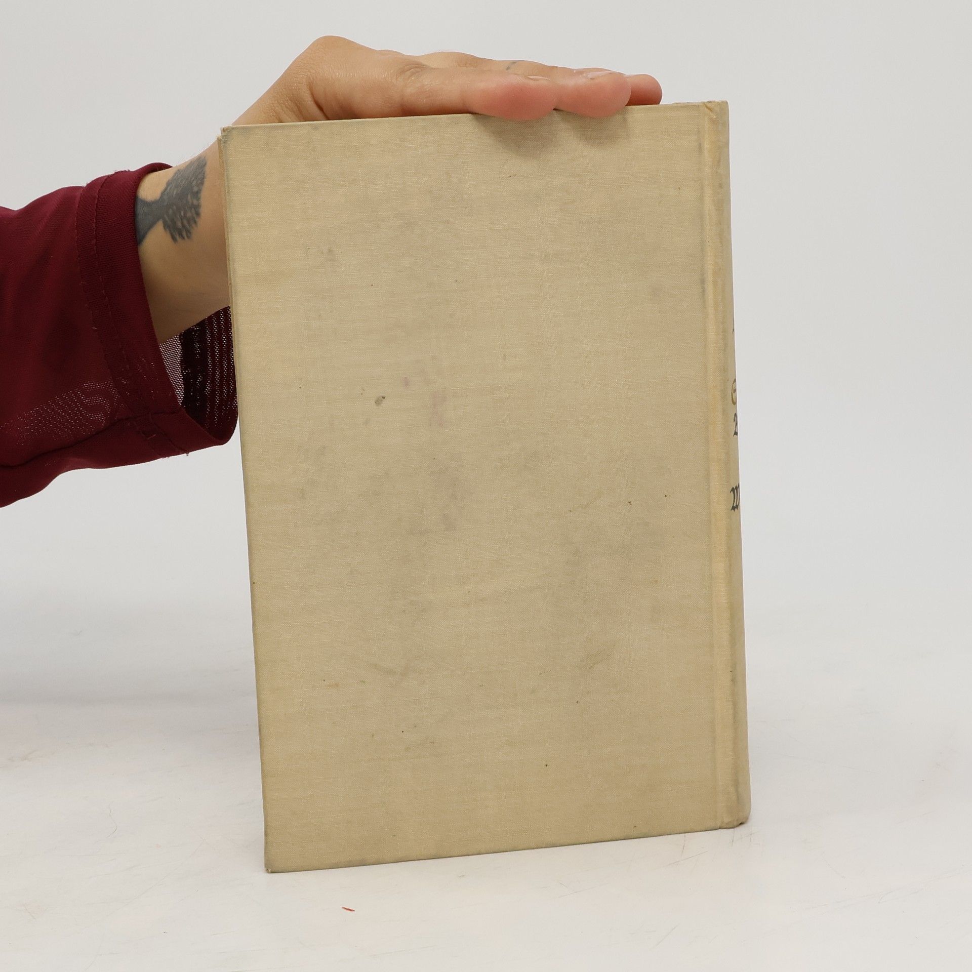 Oscar A. H. Schmitz Brevier für Weltleute Essays