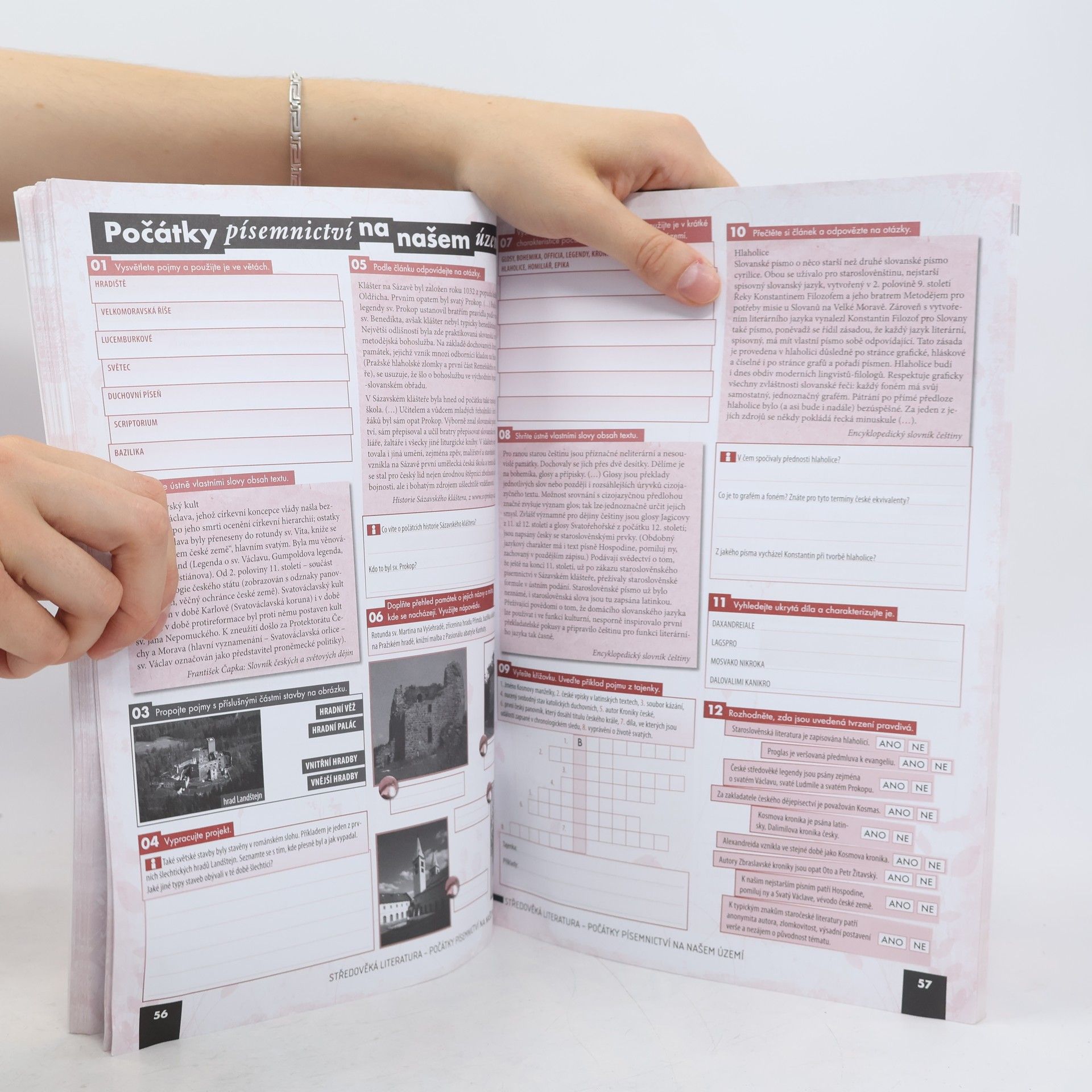Autorenkollektiv Literatura pro 1. ročník středních škol. Pracovní sešit