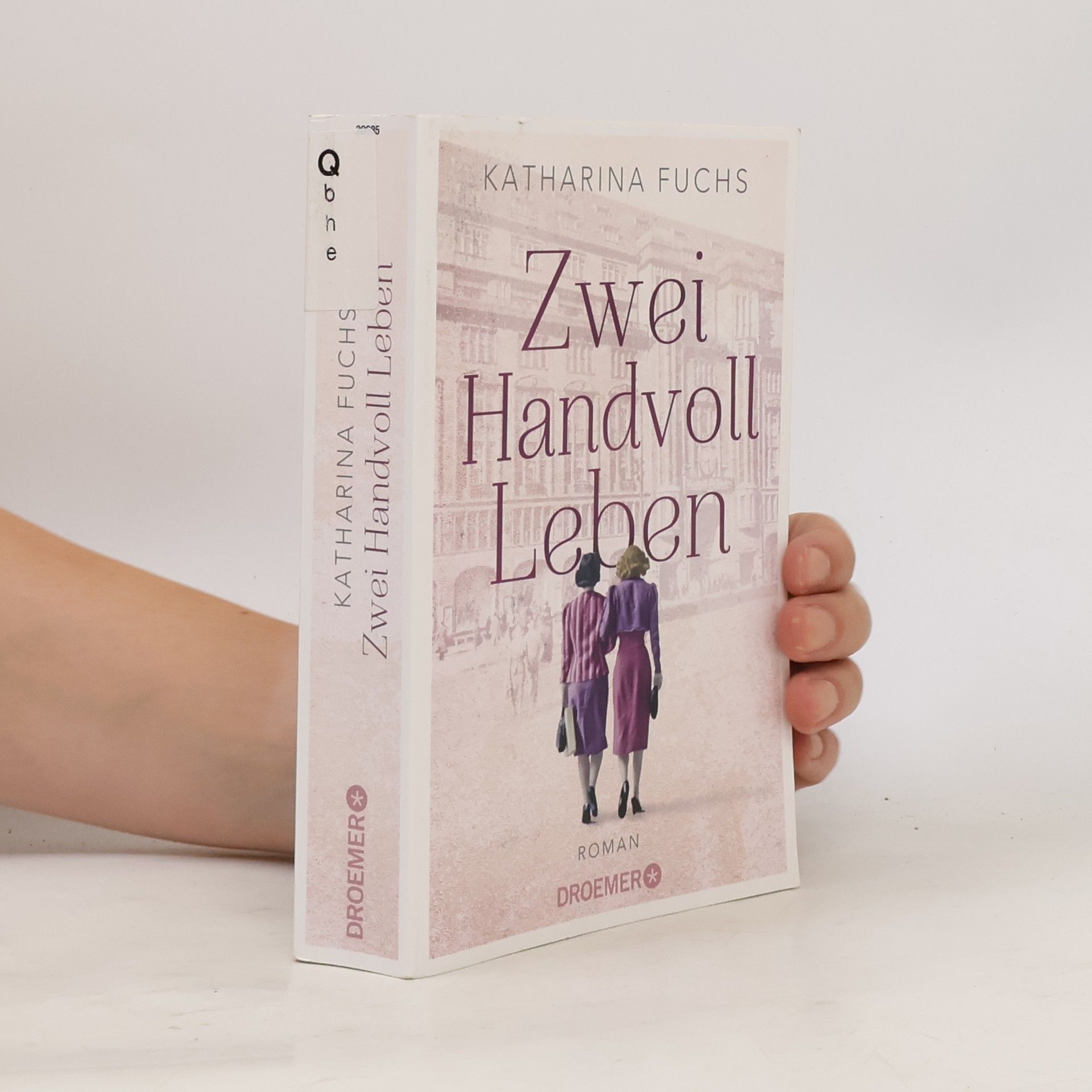 Anna-Katharina Fuchs Zwei Handvoll Leben