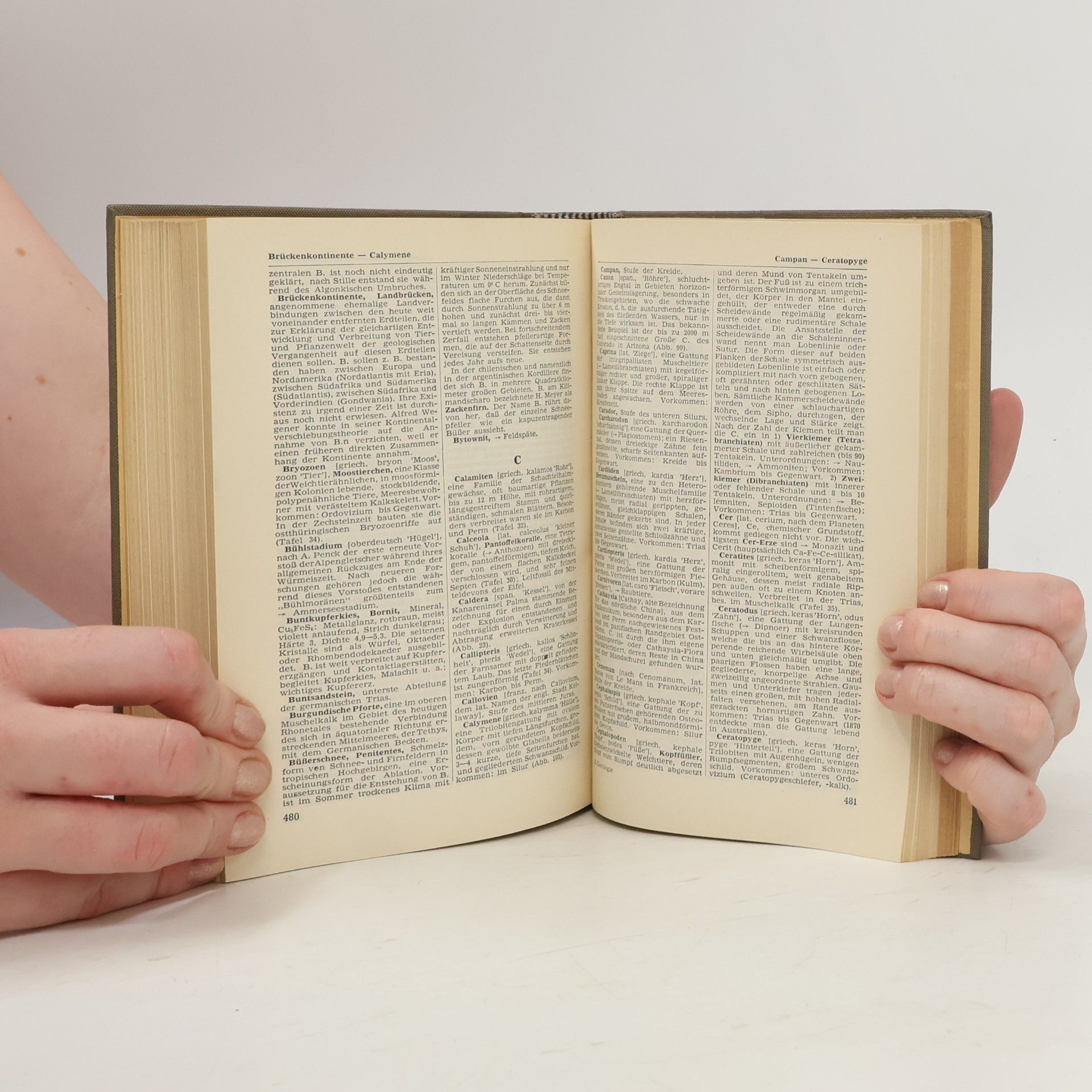 Autorenkollektiv Die Entwicklungs-Geschichte der Erde