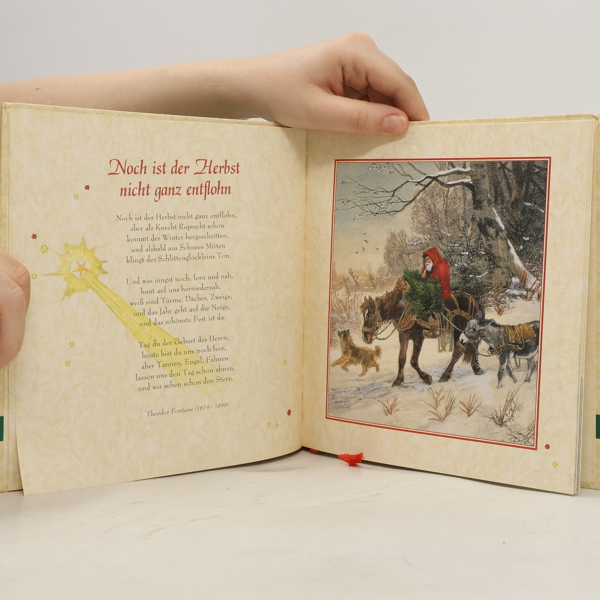 Sylvia Tress Tausend Weihnachtssterne funkeln
