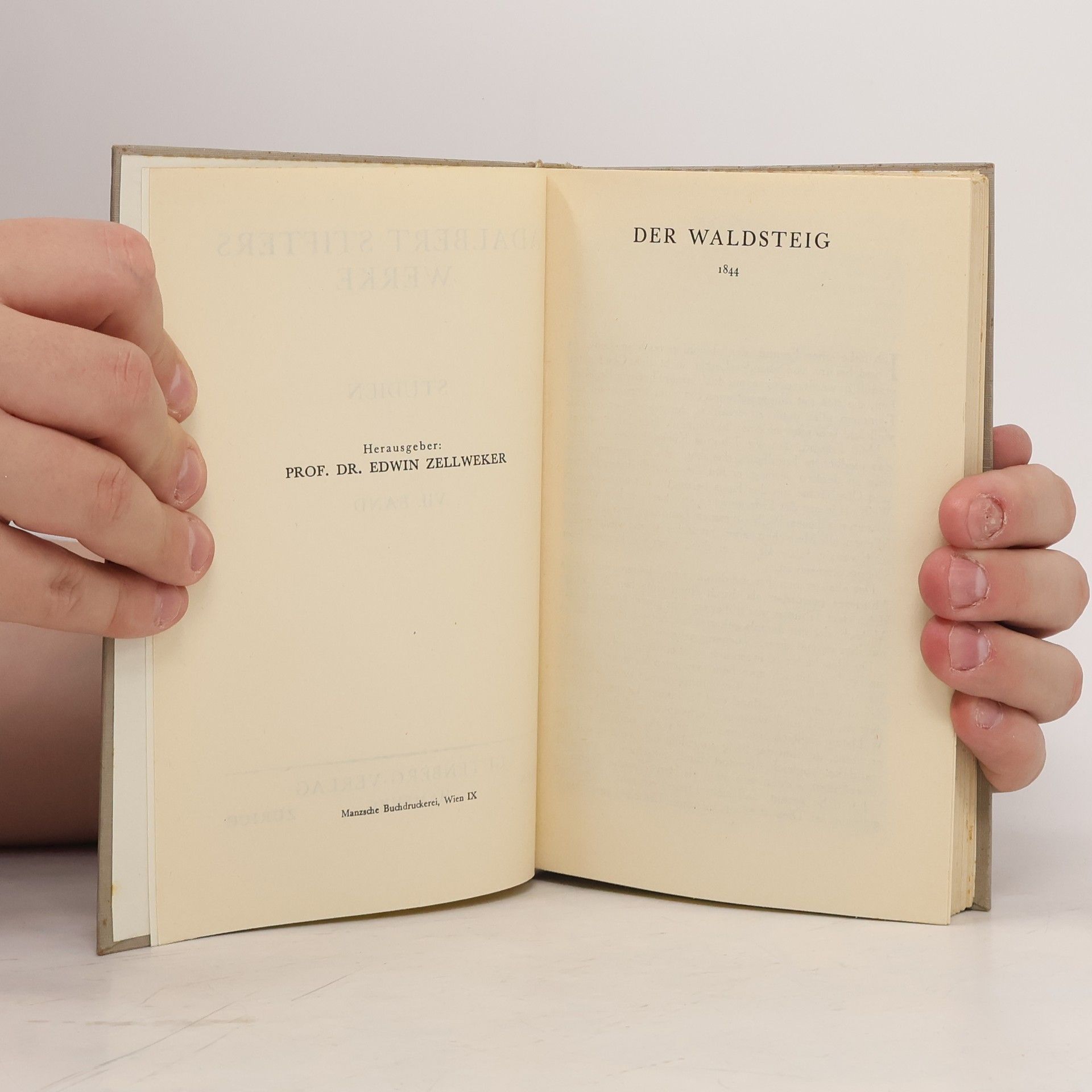 Edwin Zellweker Der Waldsteig
