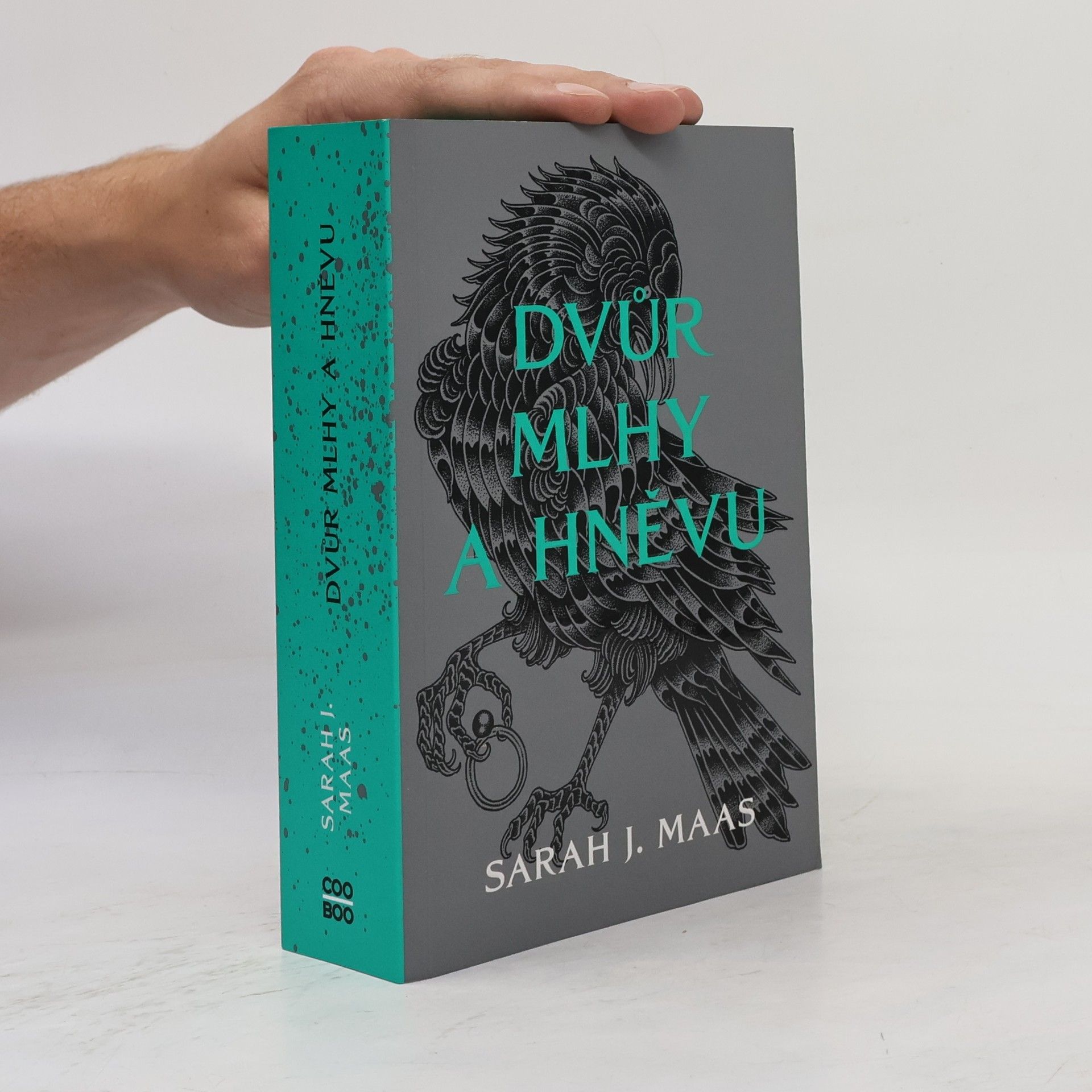 Sarah J. Maas Dvůr mlhy a hněvu