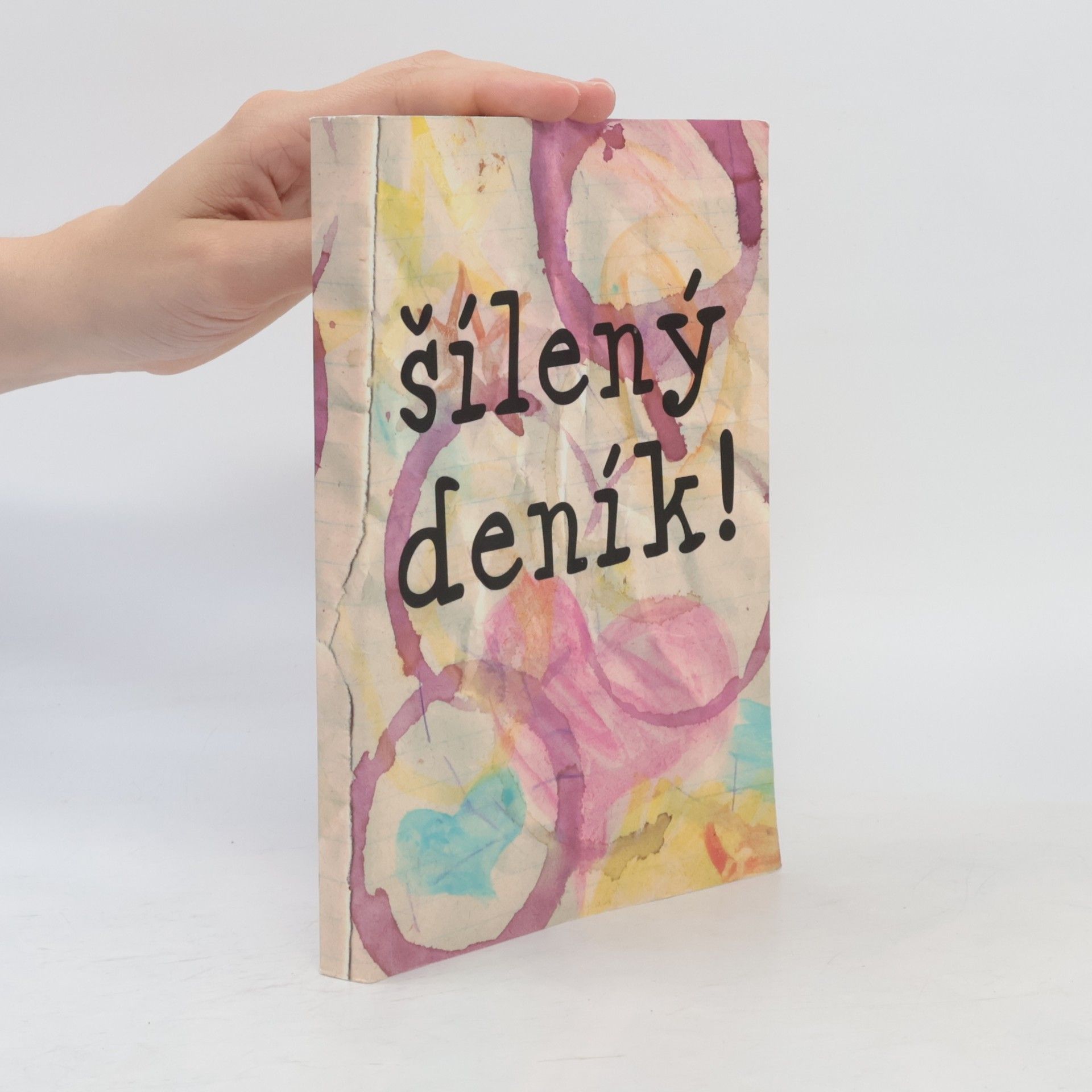 Marie Hohlová Šílený deník!