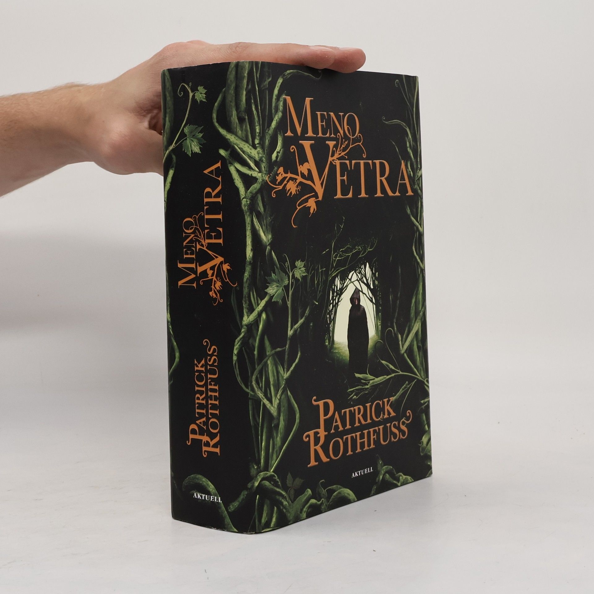 Patrick Rothfuss Meno vetra