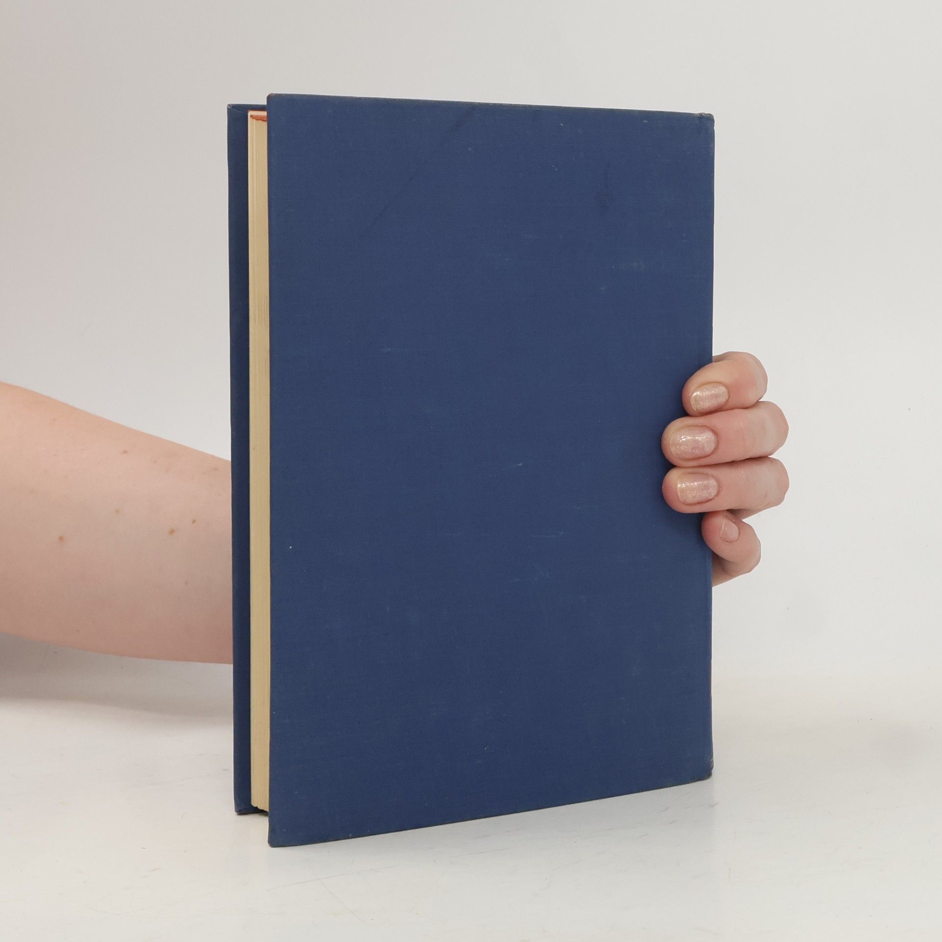 Kolektiv autorů Gyldendals Handwörterbuch norwegisch