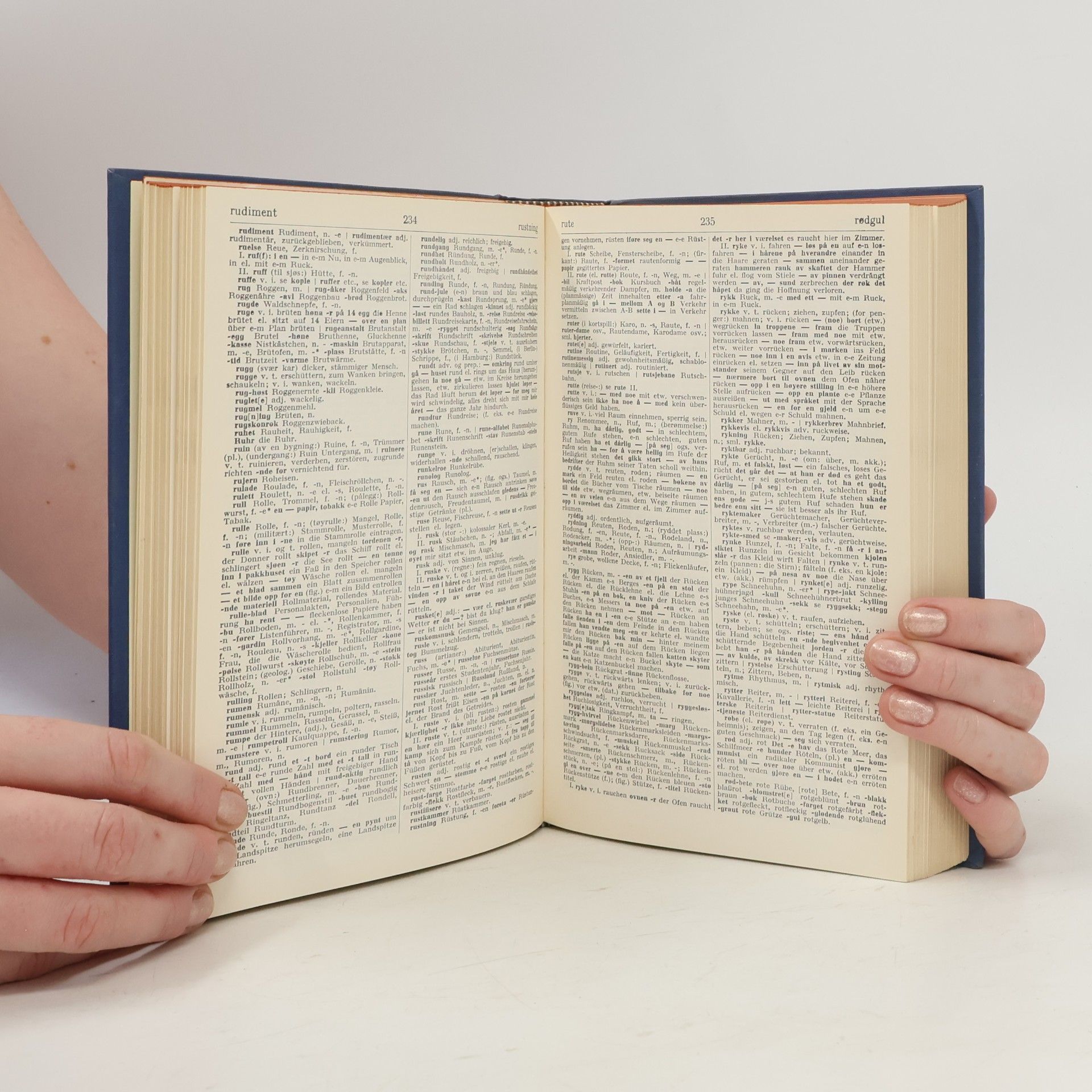 Kolektiv autorů Gyldendals Handwörterbuch norwegisch