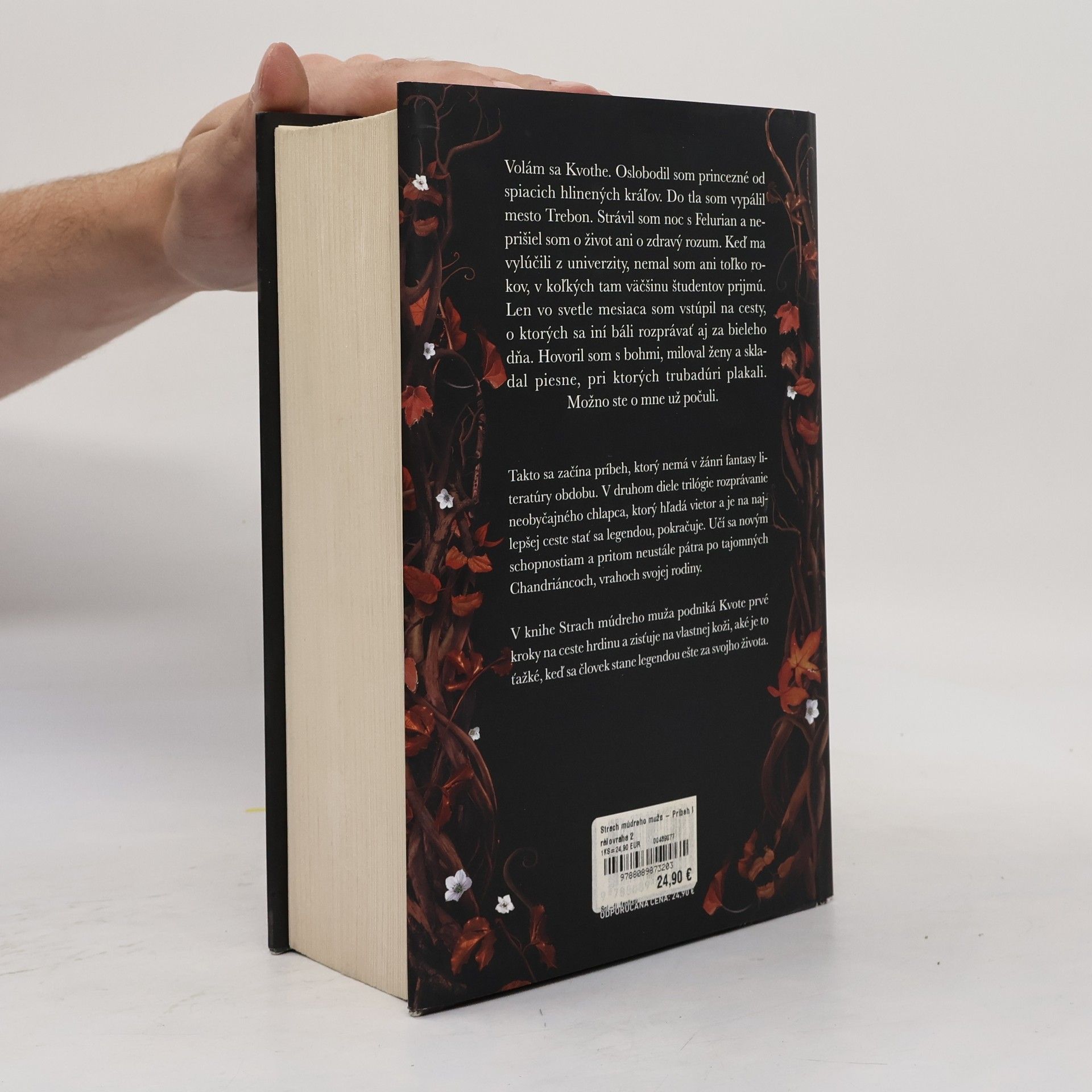 Patrick Rothfuss Strach múdreho muža