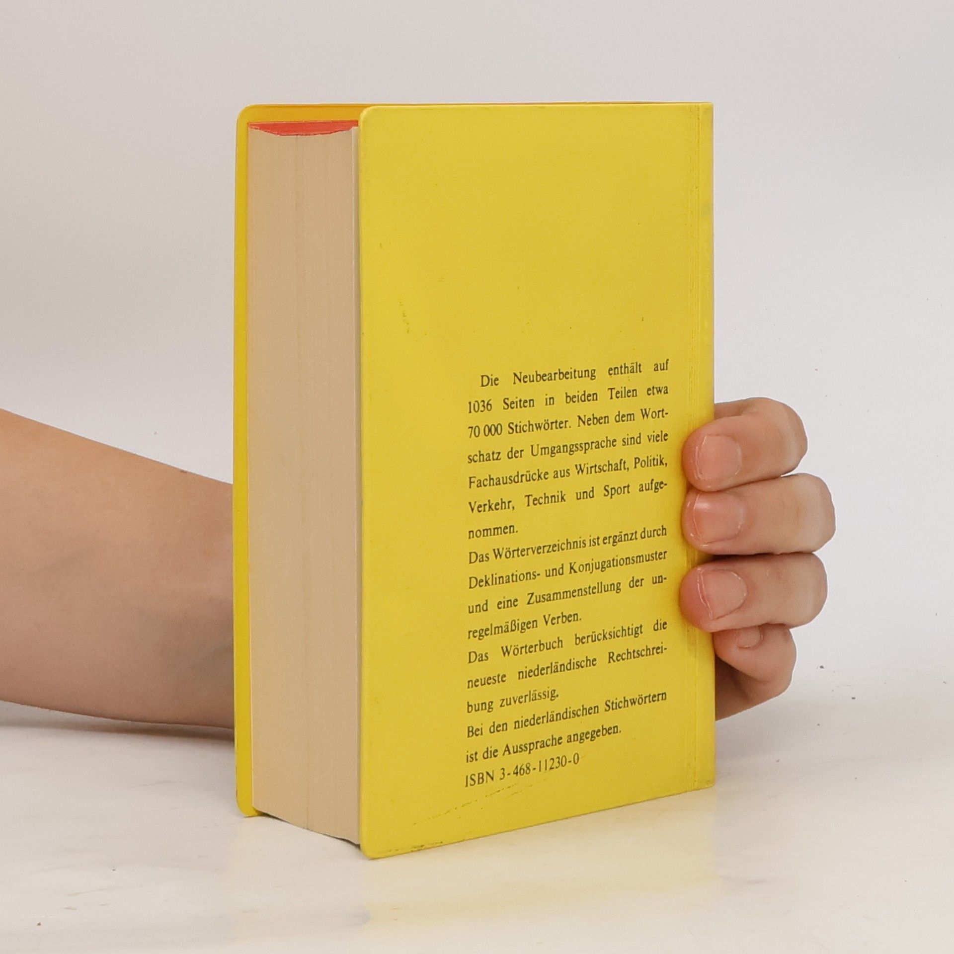 Jan Schneider Langenscheidts Taschenwörterbuch Niederländisch
