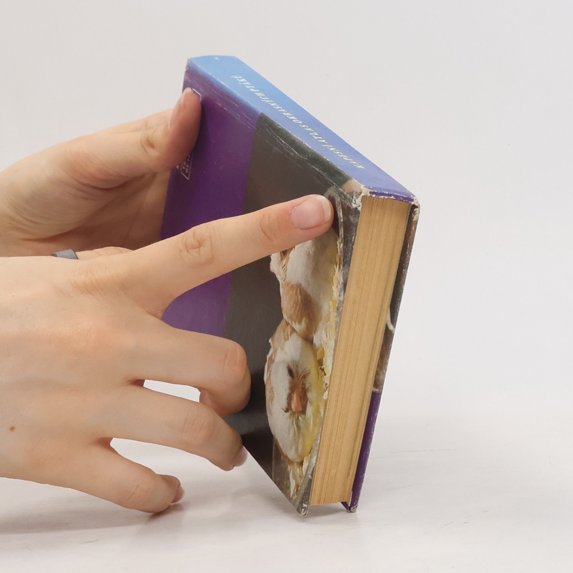 Zdeněk Veger Kapesní atlas okrasných ptáků