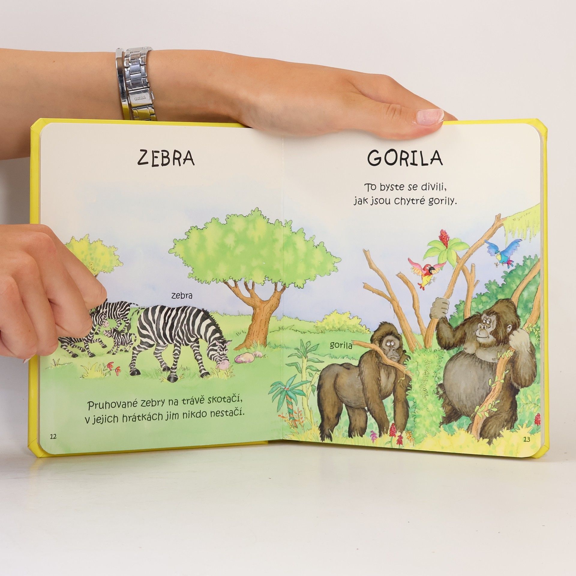 Gisela Socolovsky Rudi Zvířata z pralesa