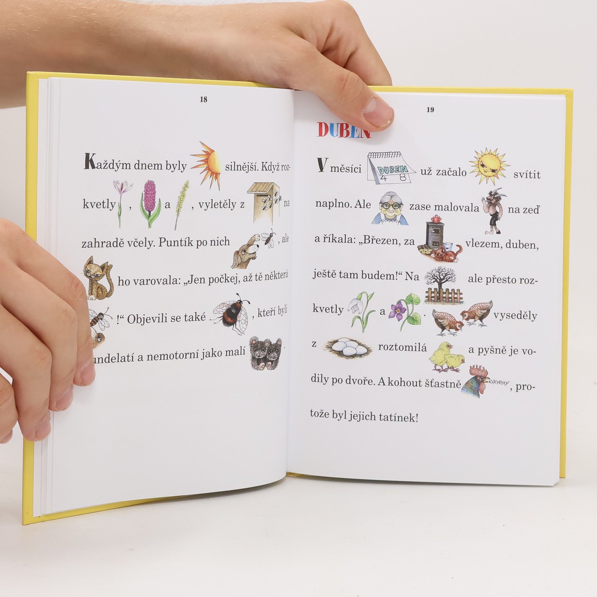 Hana Primusová Rok s pejskem a kočičkou