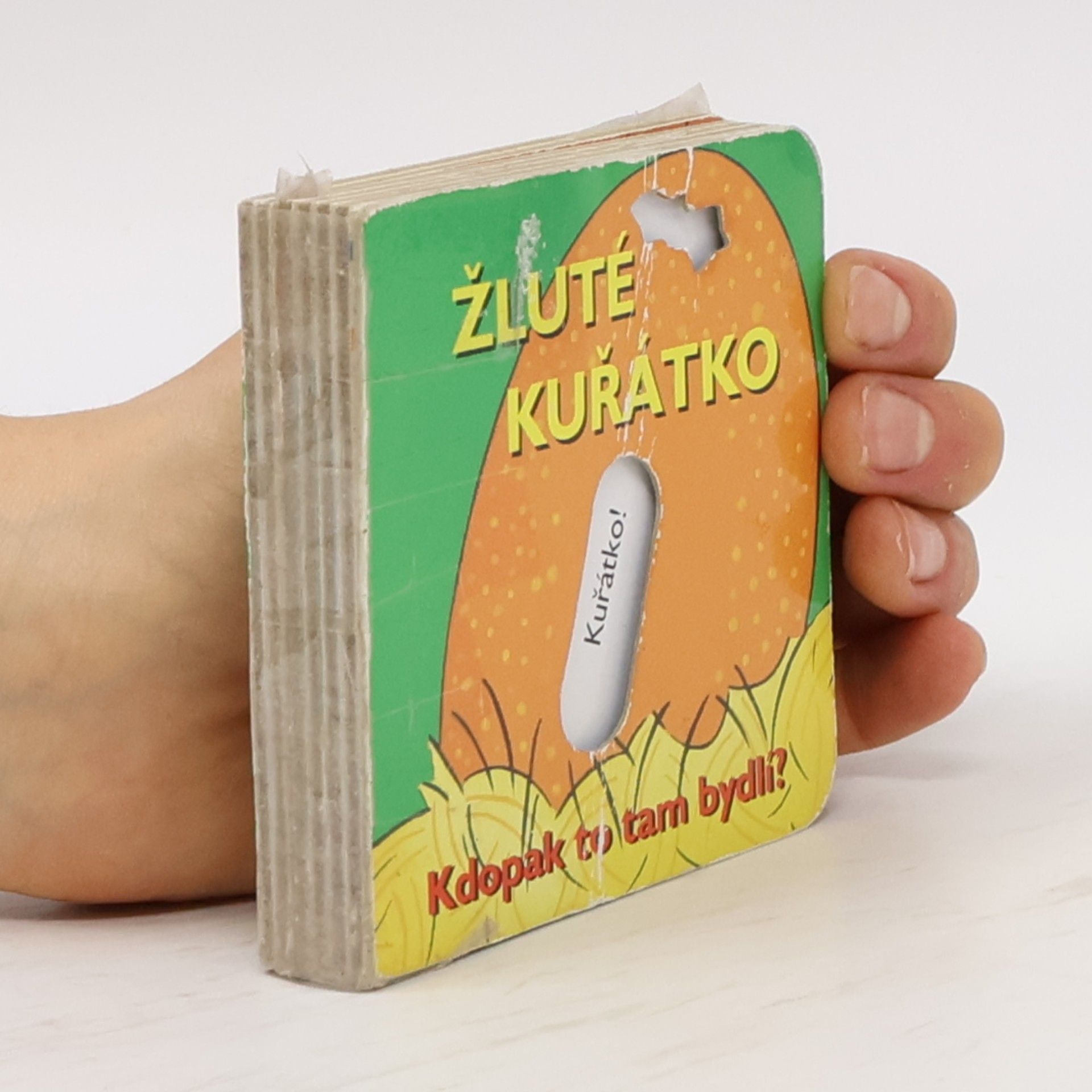 Karen Jones Žluté kuřátko : kdopak to tam bydlí?