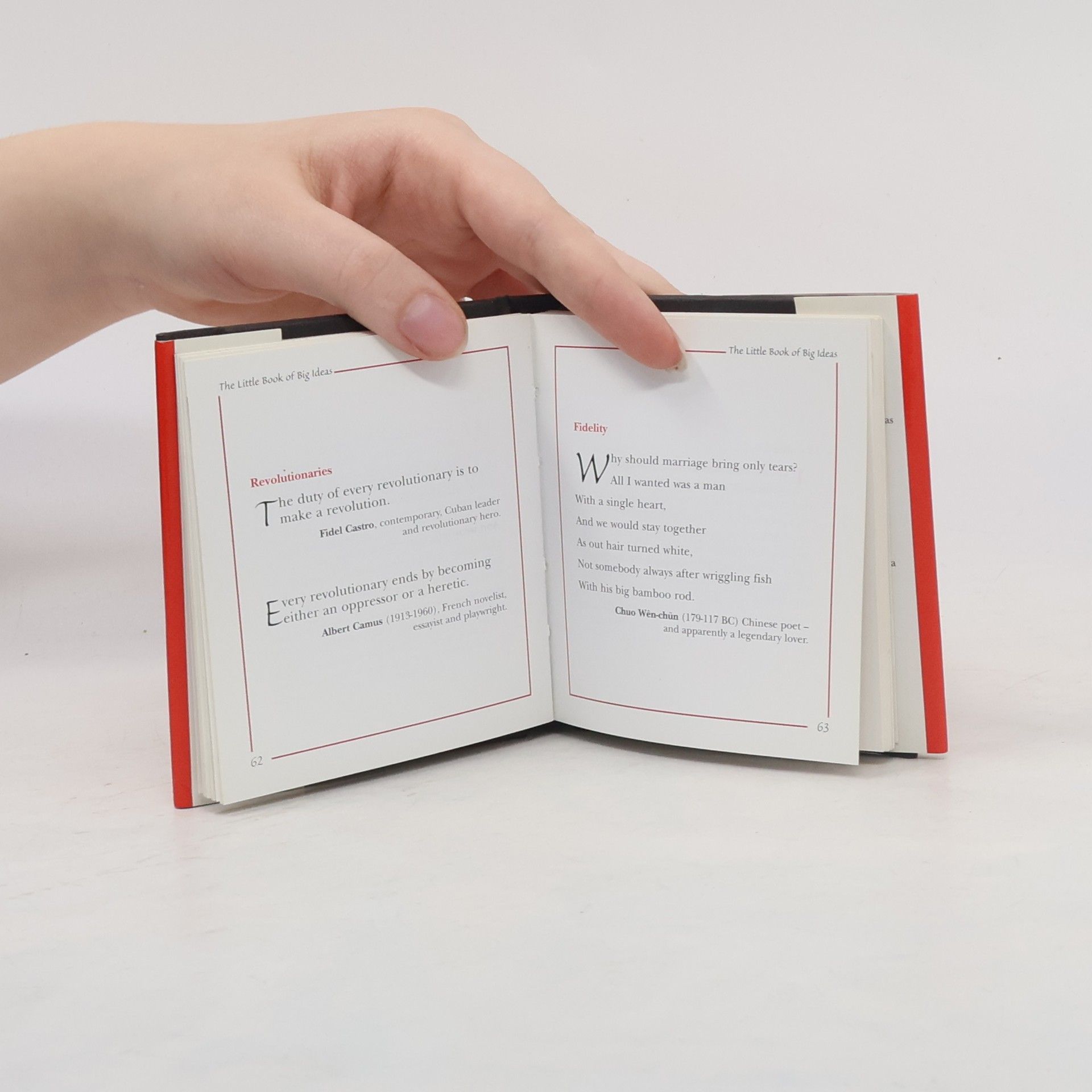 Vanessa Baird Little Books: The Little Book of Big Ideas