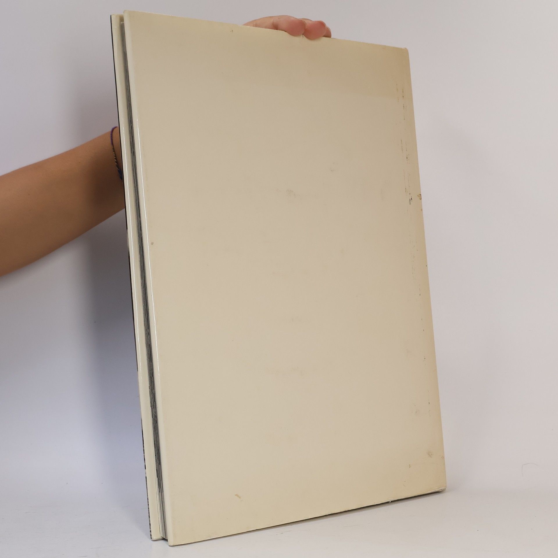 Karel Plicka Prag, ein fotografisches Bilderbuch