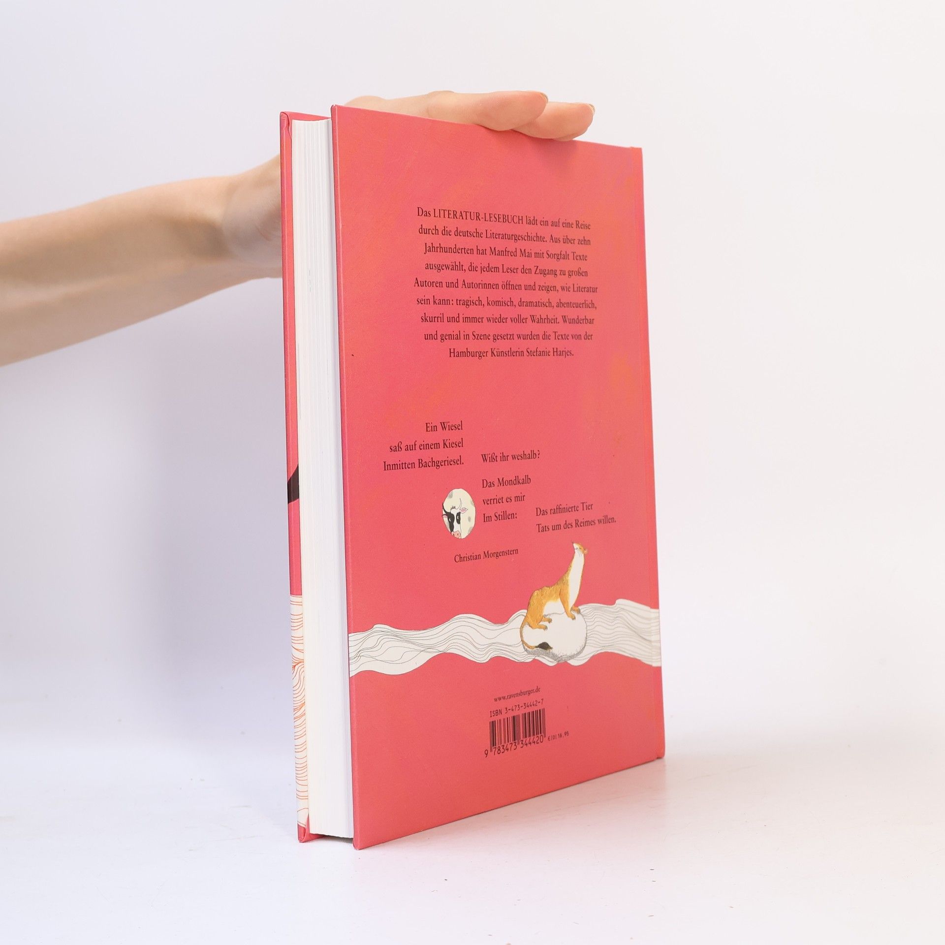 Manfred Mai Das Literatur-Lesebuch