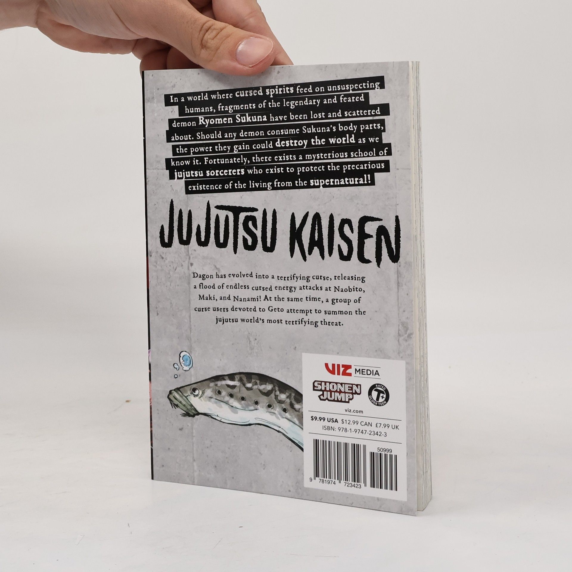 Gege Akutami Jujutsu Kaisen, Volume 13