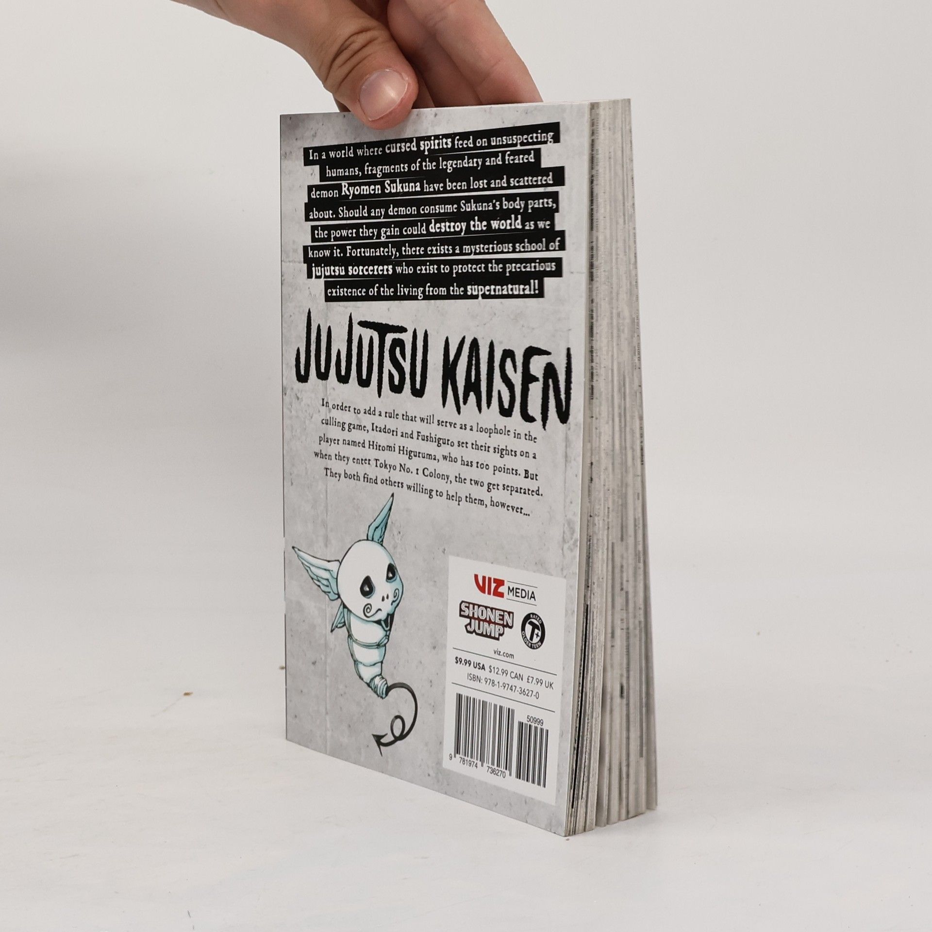 Gege Akutami Jujutsu Kaisen, Vol. 19
